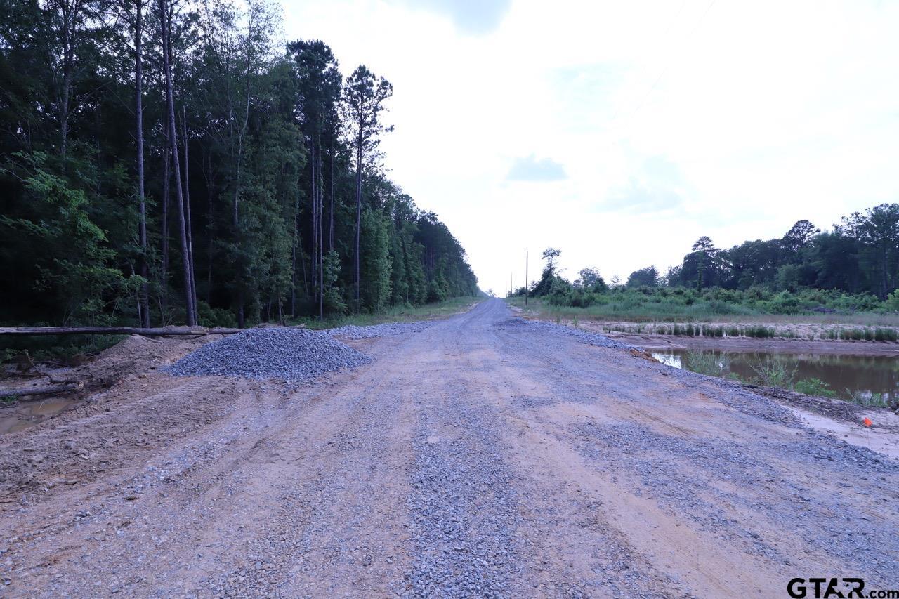 TBD Intersection CR 1324 & CR 1301, Marshall, Texas, 75672, United States, ,Land,For Sale,TBD Intersection CR 1324 & CR 1301,1610763