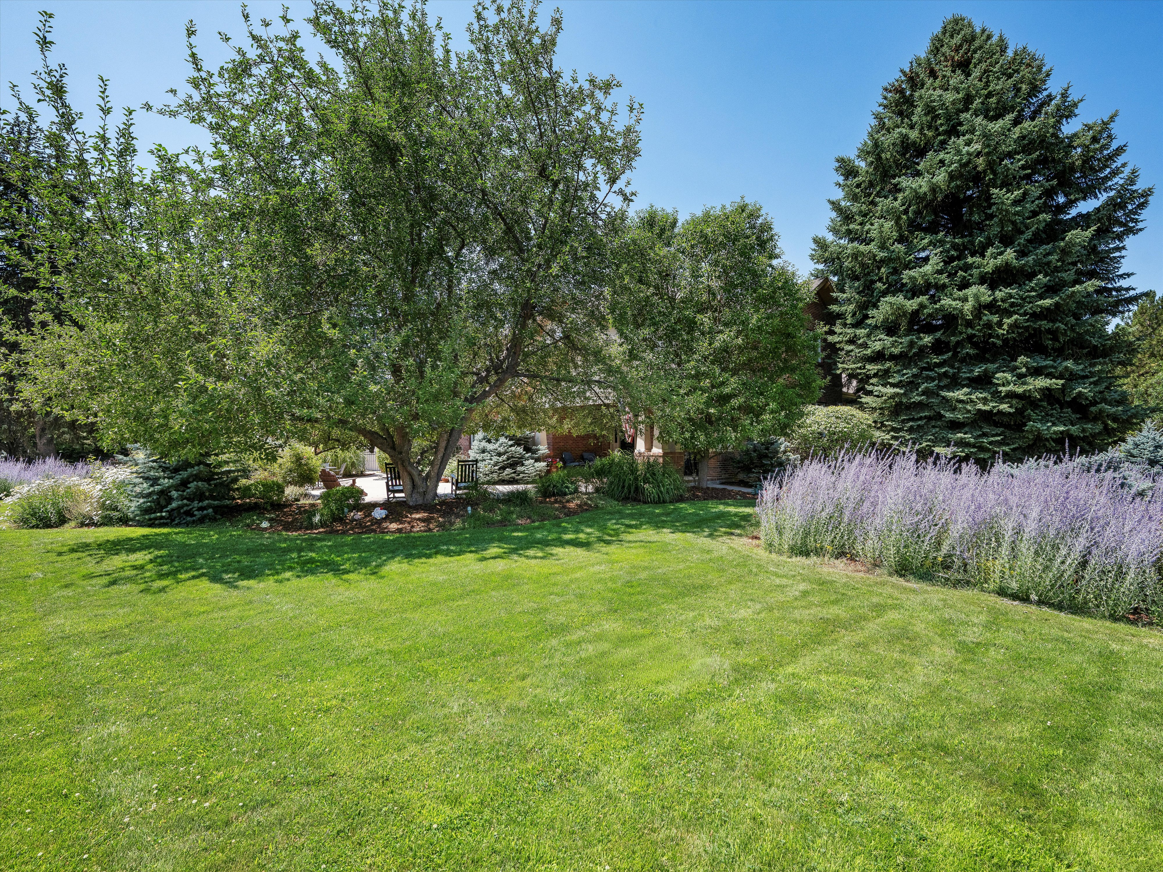  3660 E Warren Avenue, Denver, CO 80120 - 物件實景