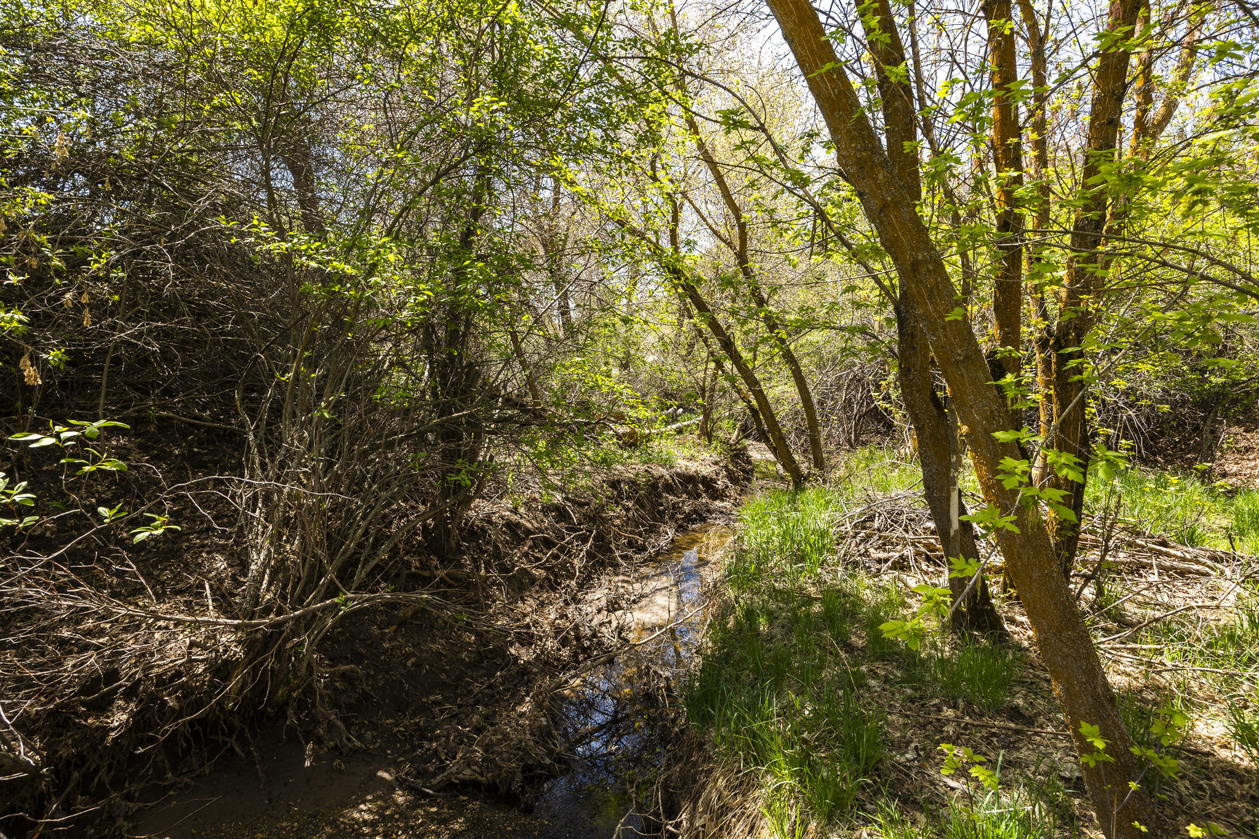  1.47 Acre Lot In East Layton With Endless Possibilities - 物件實景