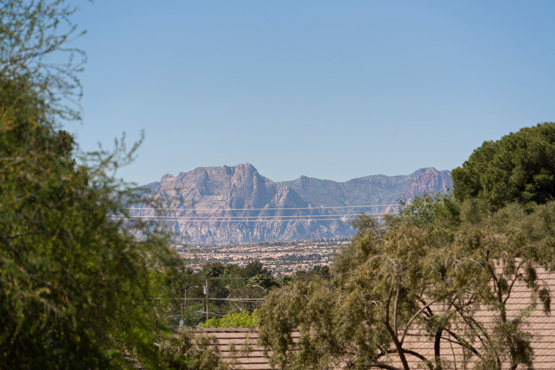  New to Market - 物件實景