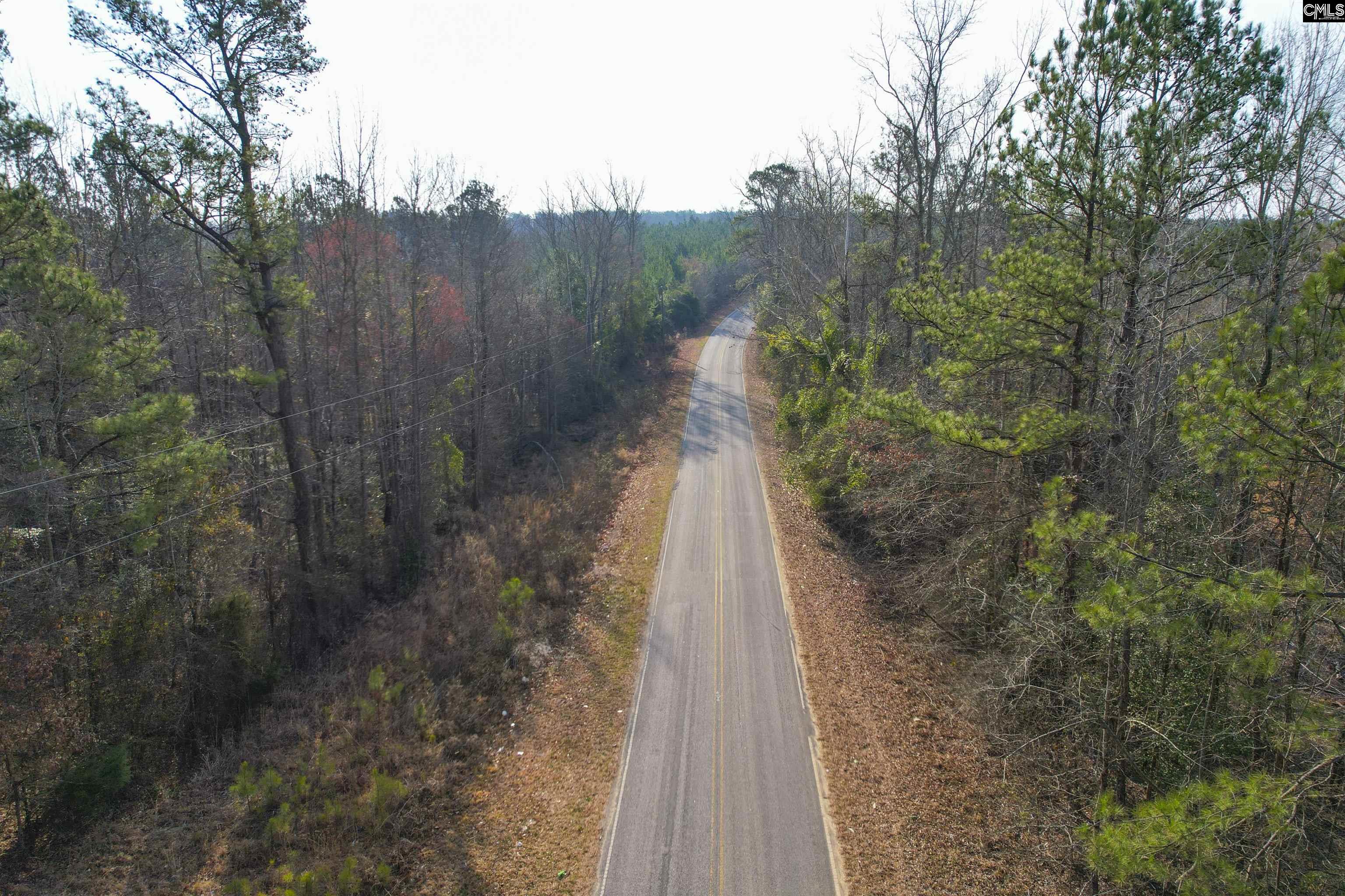 703 Neds Creek Road, Kershaw, South Carolina, 29067, United States, ,Land,For Sale,703 Neds Creek Road,1669372