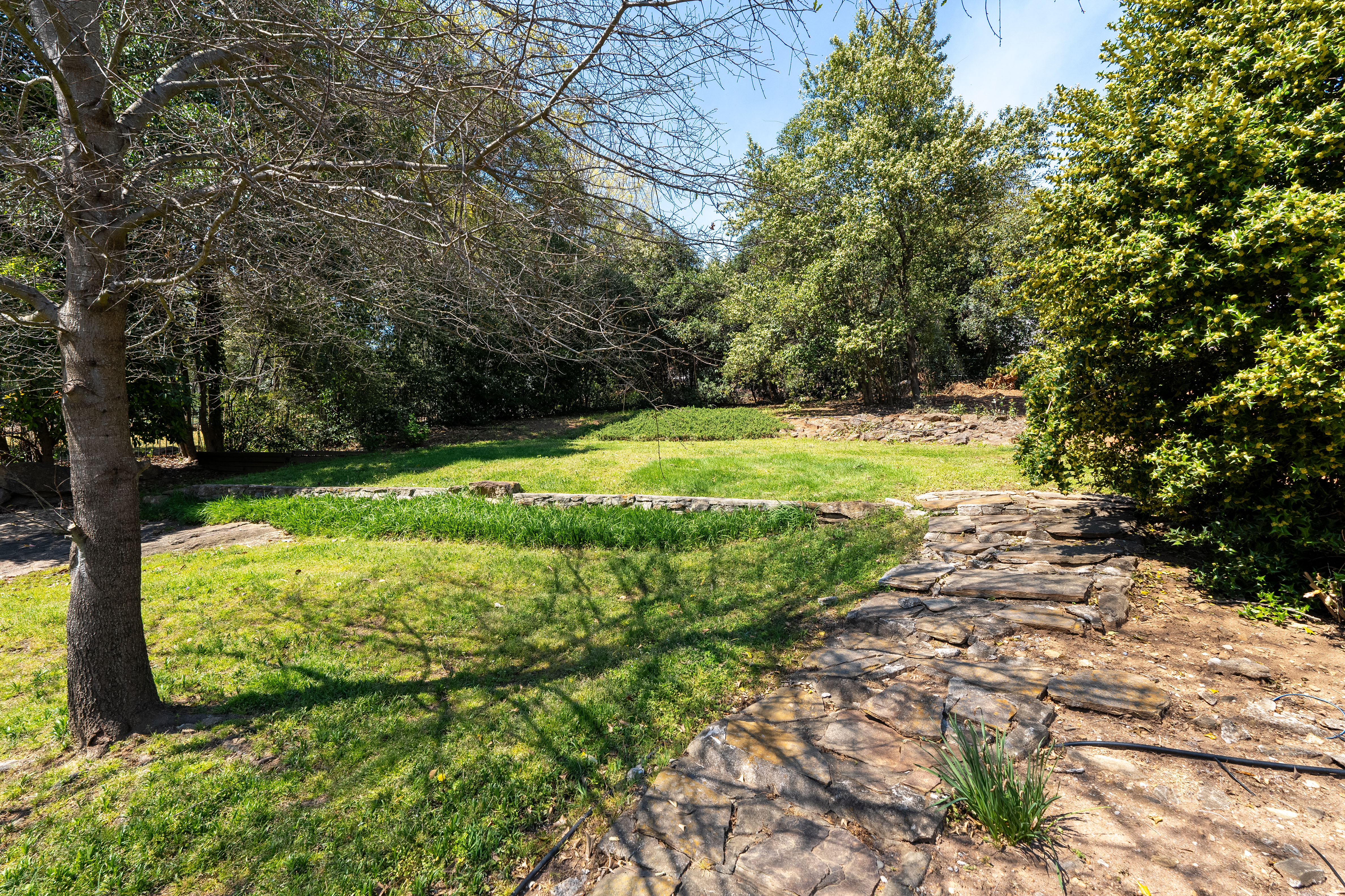  31 Rock Creek Drive, Greenville, SC 29605 - 物件實景