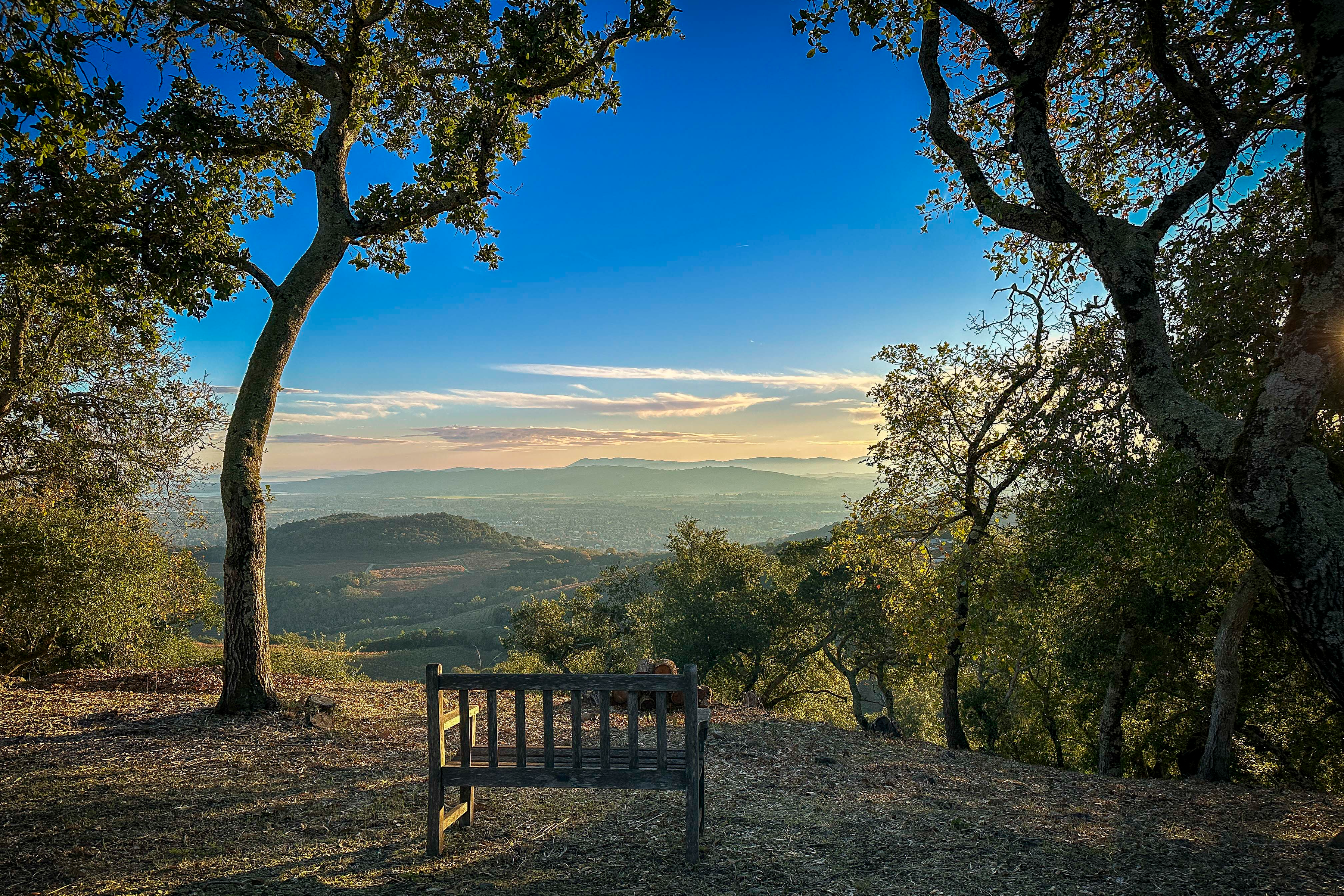  Casa La Vista Sonoma - 物件實景