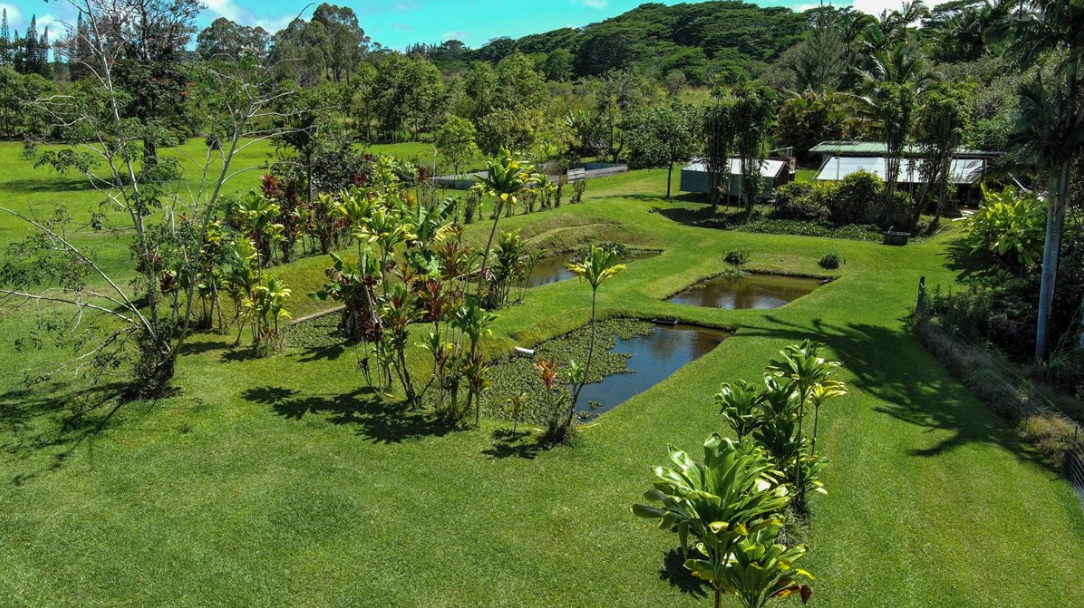 Hakalau, Hawaii, 96710, United States, 4 Bedrooms Bedrooms, ,3 BathroomsBathrooms,Residential,For Sale,1974995