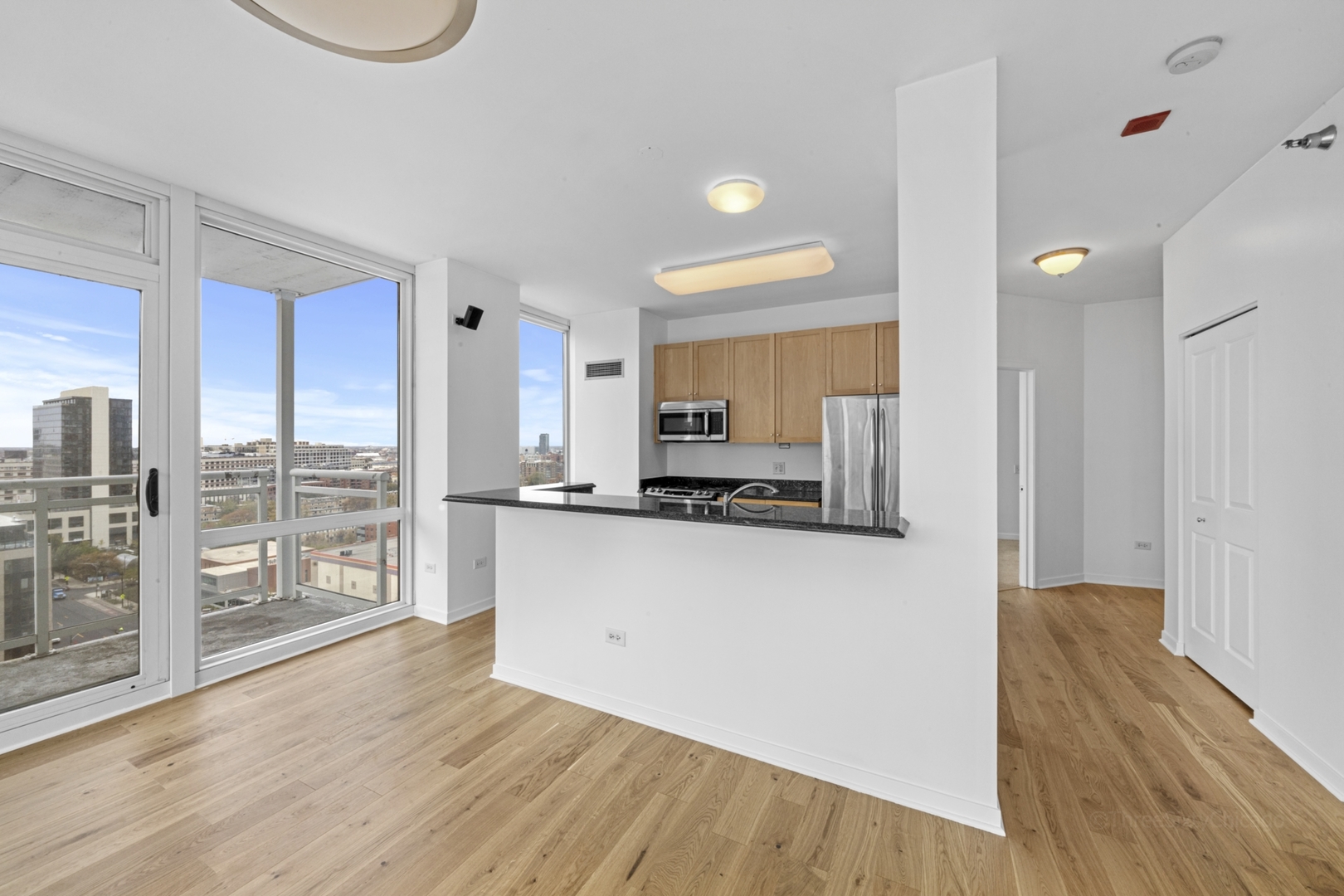 Chicago, Illinois, 60654, United States, 2 Bedrooms Bedrooms, ,2 BathroomsBathrooms,Residential,For Sale,2023222