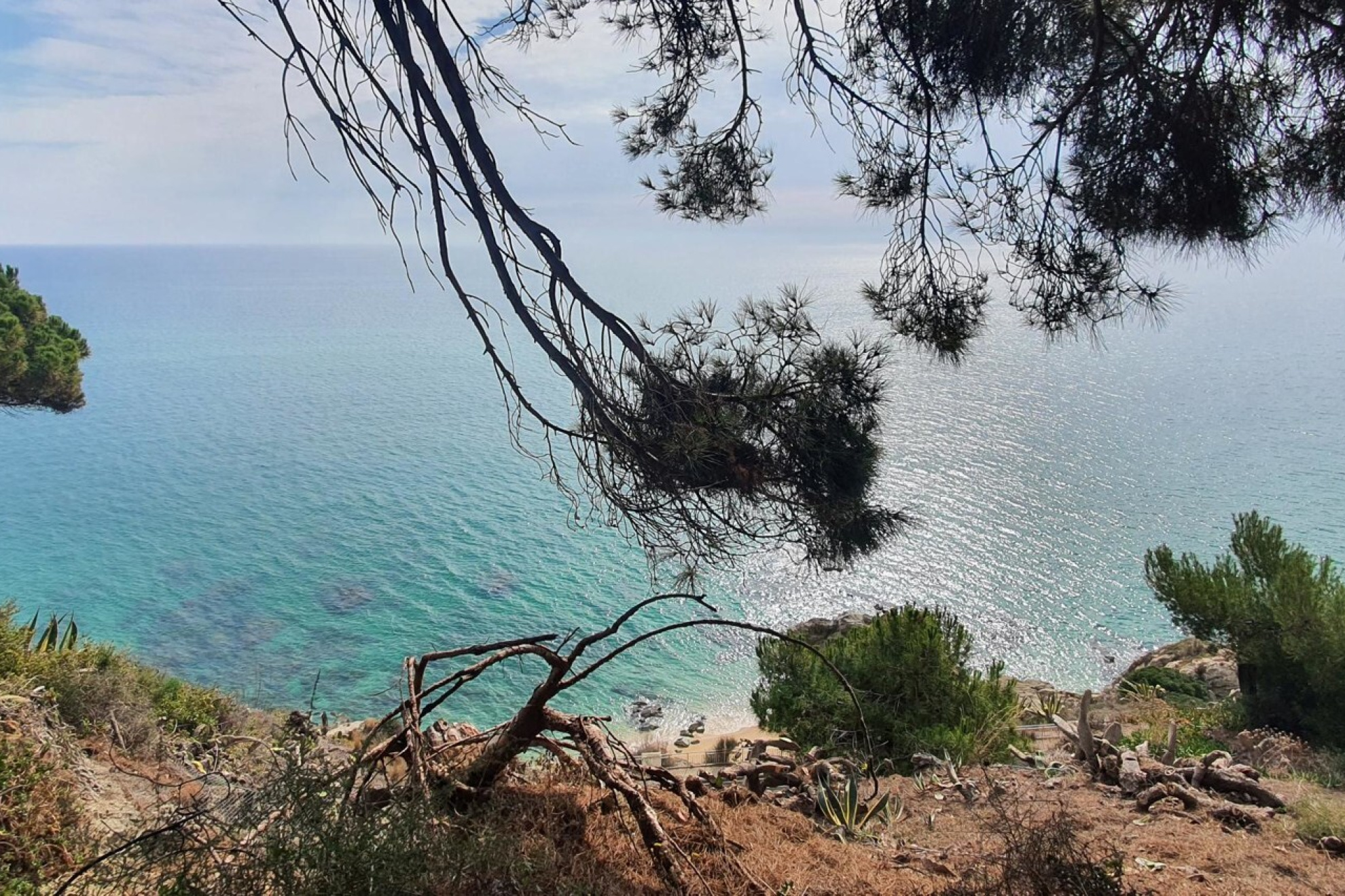  Unique plot in front of the sea. Build the house of your dreams. - 物件實景