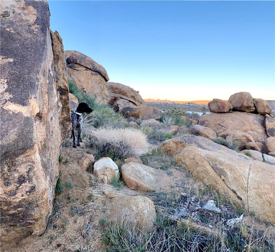 1 Gamma Gulch Rd Road, Pioneertown, California, 92268, United States, ,Land,For Sale,1 Gamma Gulch Rd Road,1434815