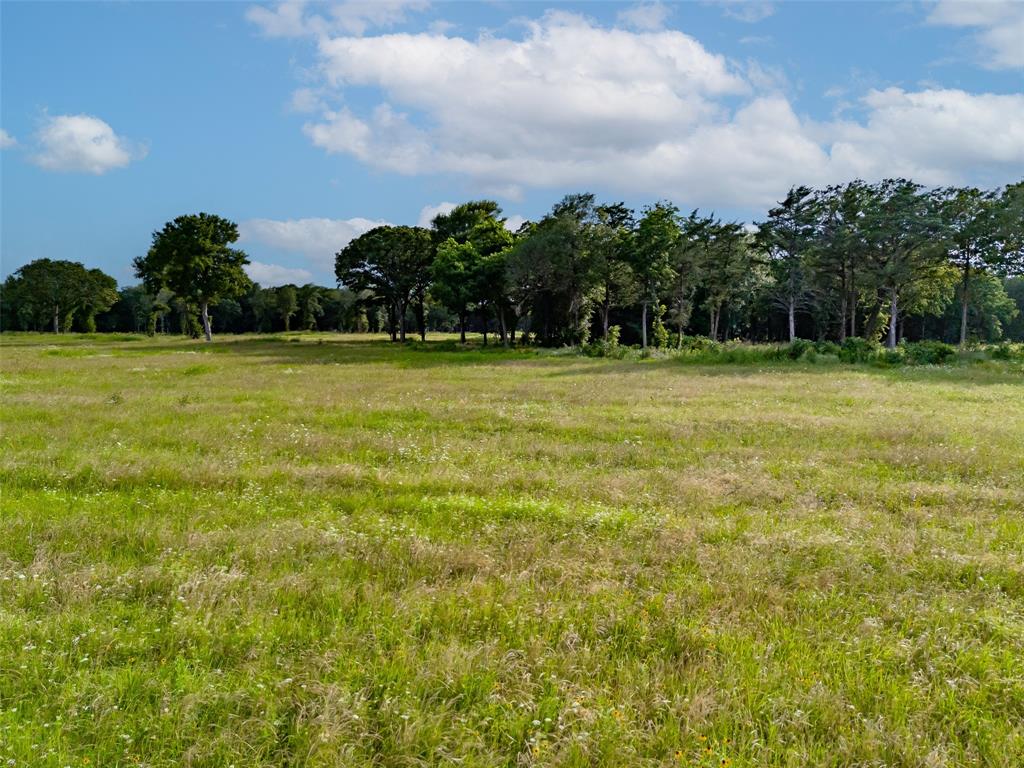 Honey Grove, Texas, 75446, United States, ,Land,For Sale,1849067