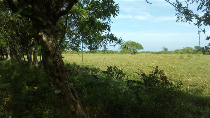 Sosua, DO, ,Land,For Sale,1622583