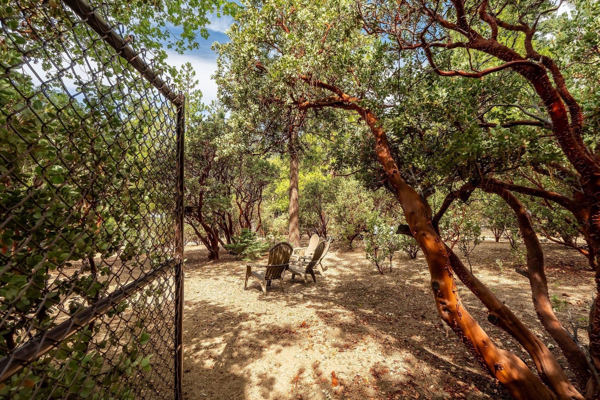  Manzanita Retreat - 物件實景