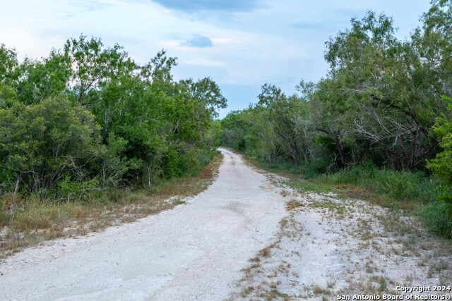 000 County Road 376, George West, Texas, 78022, United States, ,Residential,For Sale,000 County Road 376,1656585