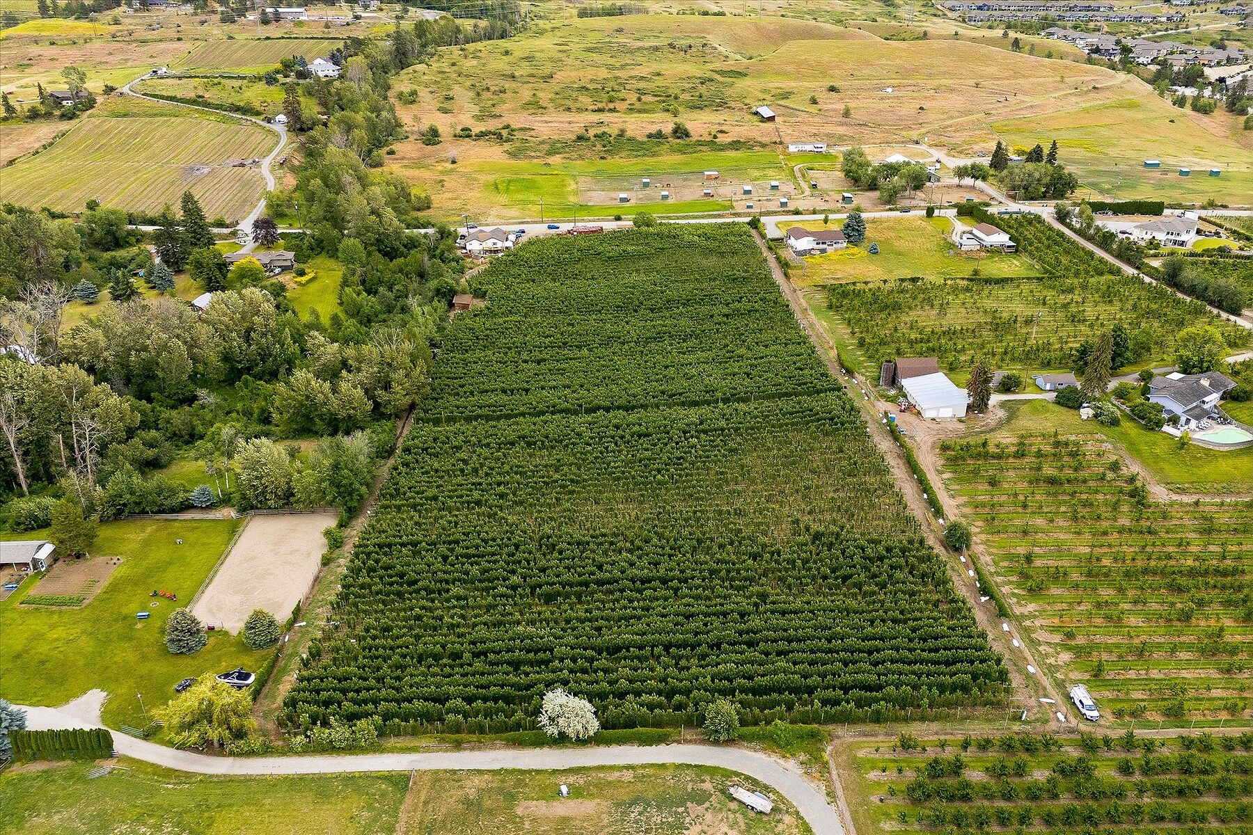  Ellison Acreage - 物件實景