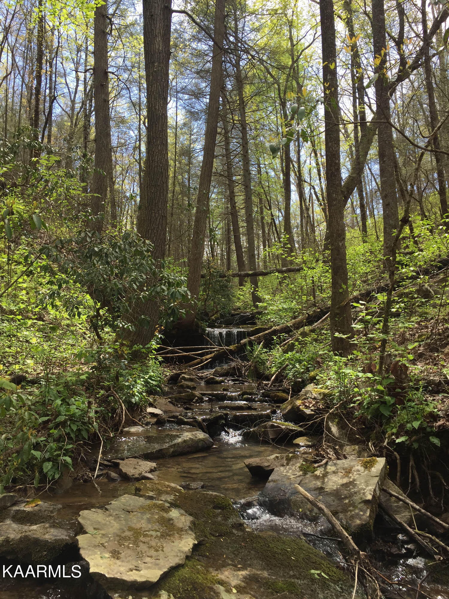 Pikeville, Tennessee, 37367, United States, ,Residential,For Sale,1943070