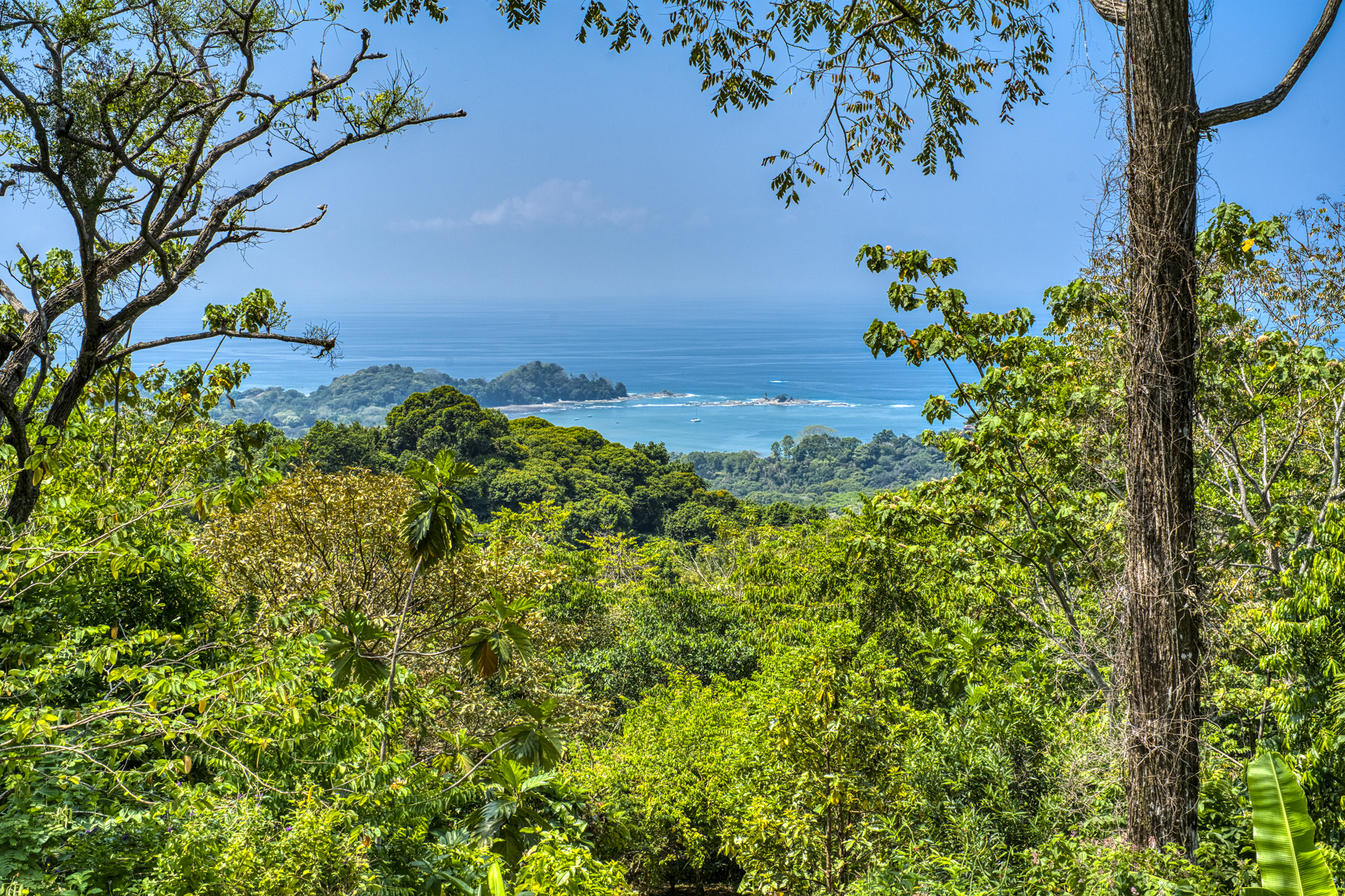 Dominical, Puntarenas, CR, 3 Bedrooms Bedrooms, ,3 BathroomsBathrooms,Residential,For Sale,1759827