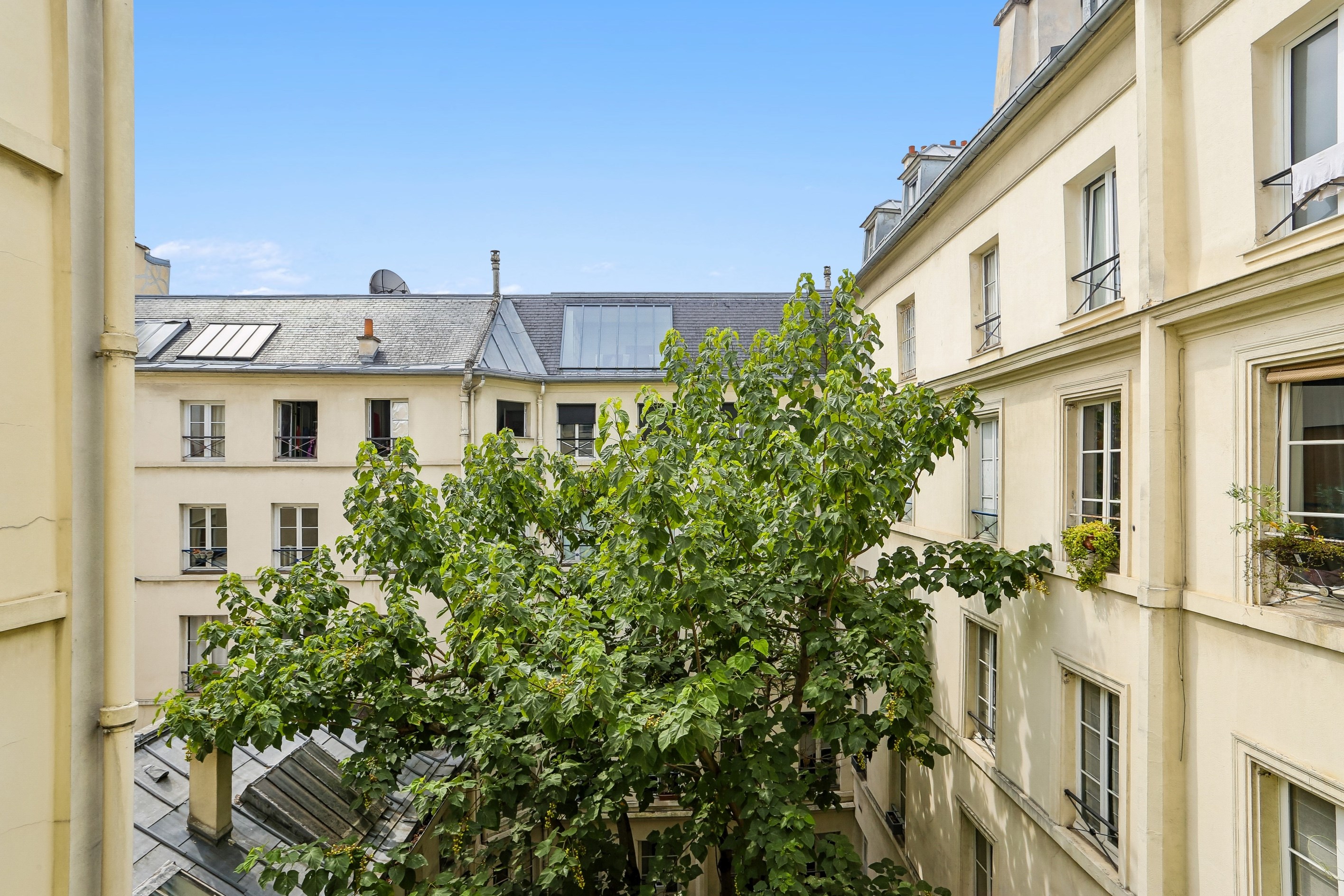  Rue des Beaux Arts - Superb renovated 2 bedrooms apartment with AC - 物件實景