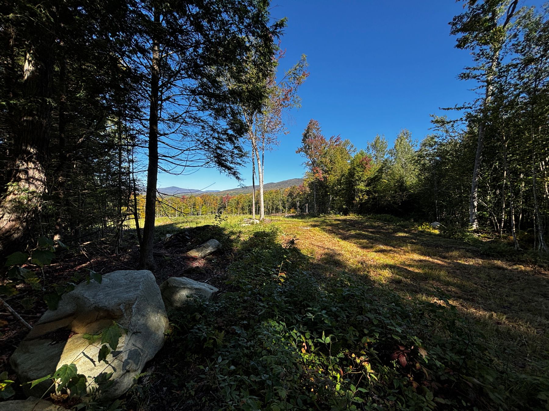  Little Pond Road - 物件實景