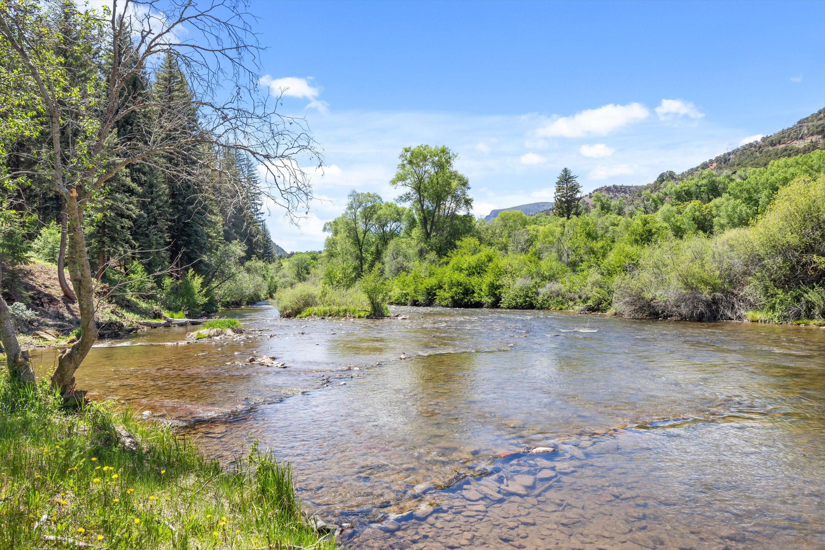  768 Kings Lake Road, Basalt, CO 81621 - 物件實景