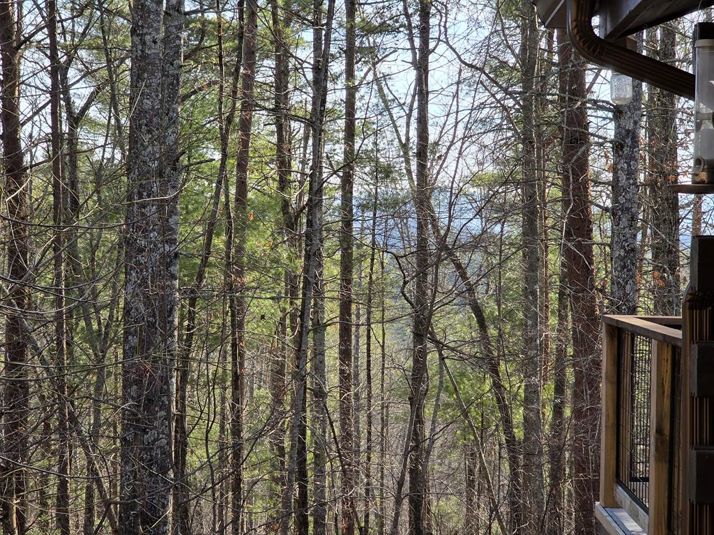 Reliance, Tennessee, 37369, United States, 3 Bedrooms Bedrooms, ,2 BathroomsBathrooms,Residential,For Sale,1985827