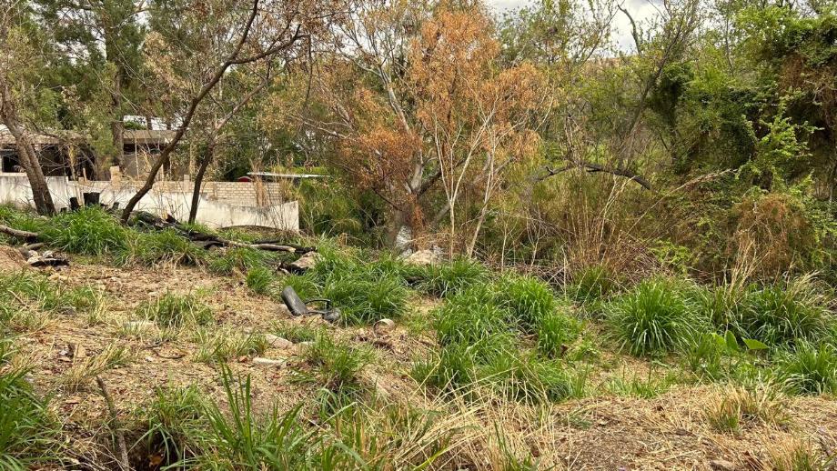 Av. Bosques de San Isidro Sur, Zapopan, Jalisco, 45133, Mexico, 1 Bedroom Bedrooms, ,Residential,For Sale,Av. Bosques de San Isidro Sur,1588840