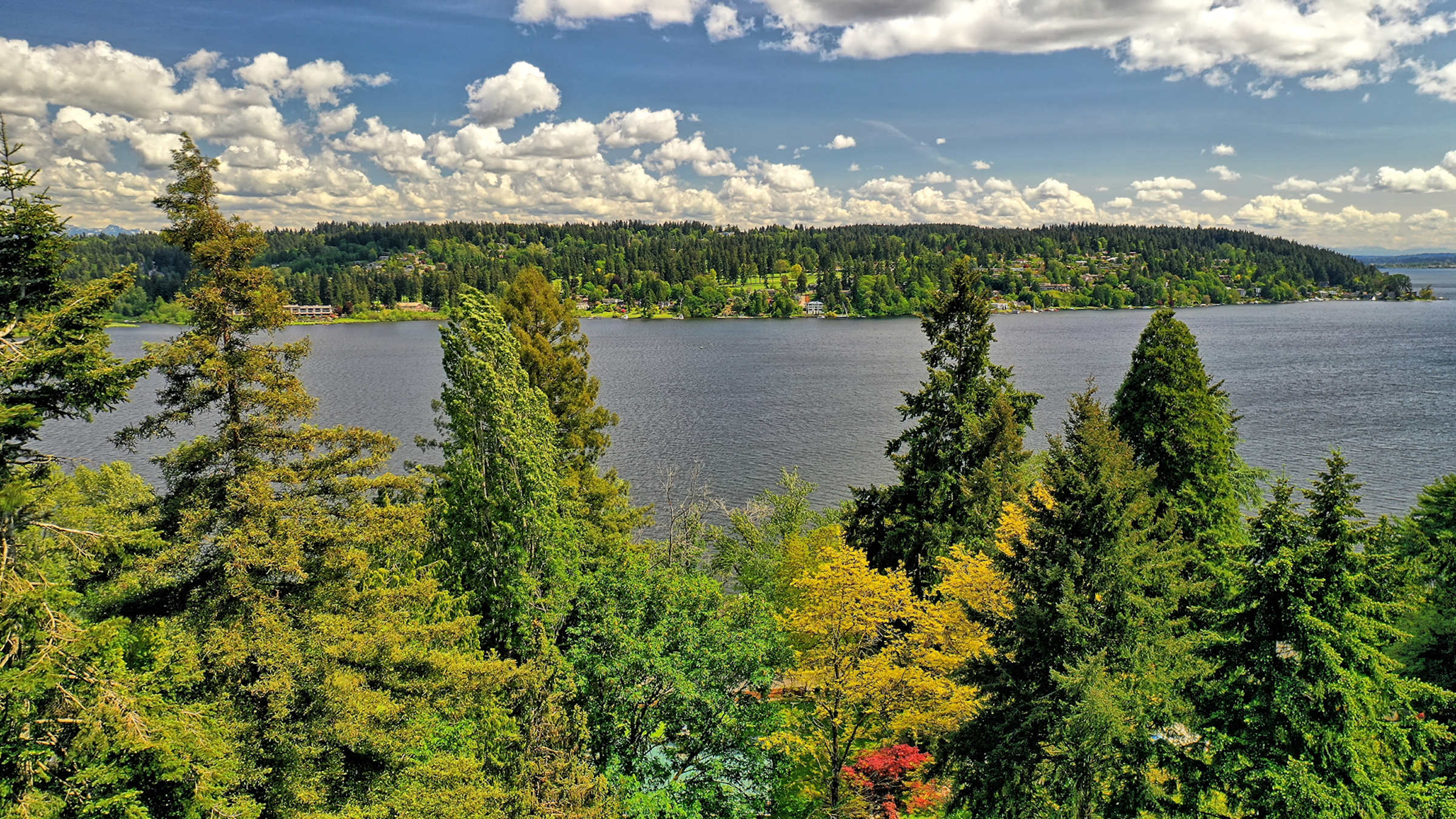  Development Opportunity in Lake Forest Park - 物件實景