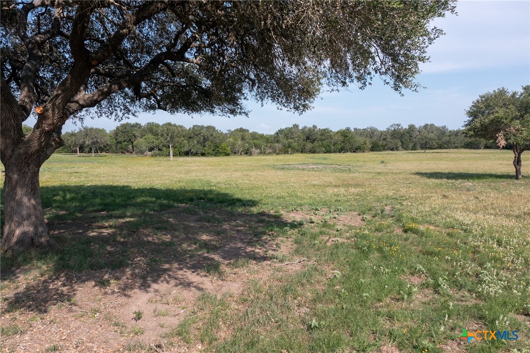 Yorktown, Texas, 78164, United States, ,Land,For Sale,1856260