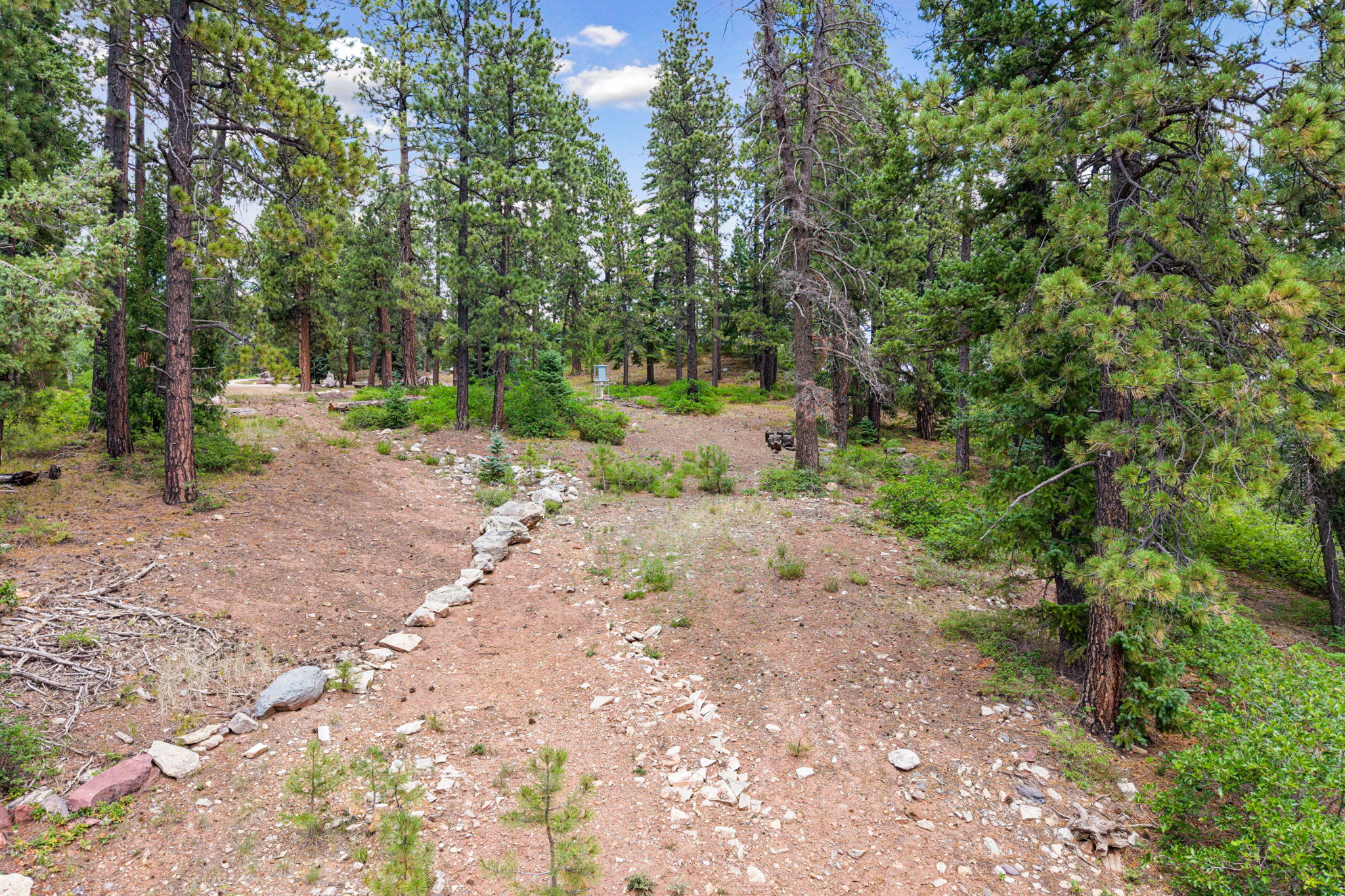  TBD East Spruce Mesa Drive, Durango, CO 81301 - 物件實景