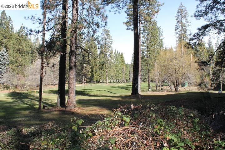 Twain Harte, California, 95383, United States, 4 Bedrooms Bedrooms, ,4 BathroomsBathrooms,Residential,For Sale,2033169