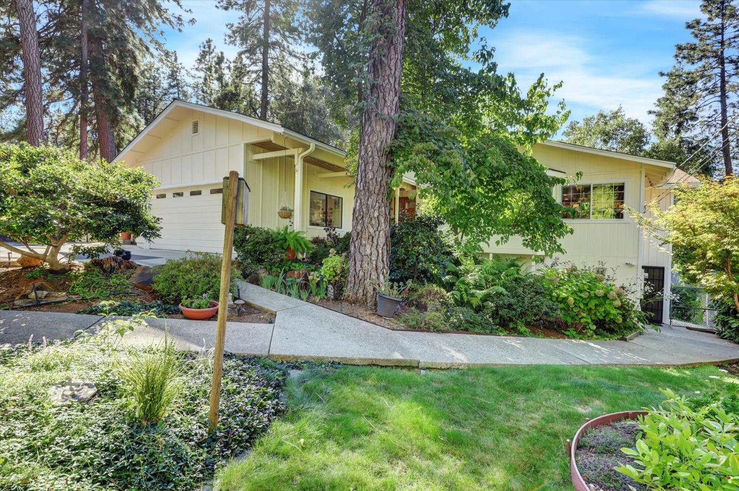 12252 Francis Drive, Grass Valley, California, 95949, United States, 3 Bedrooms Bedrooms, ,2 BathroomsBathrooms,Residential,For Sale,12252 Francis Drive,1631801