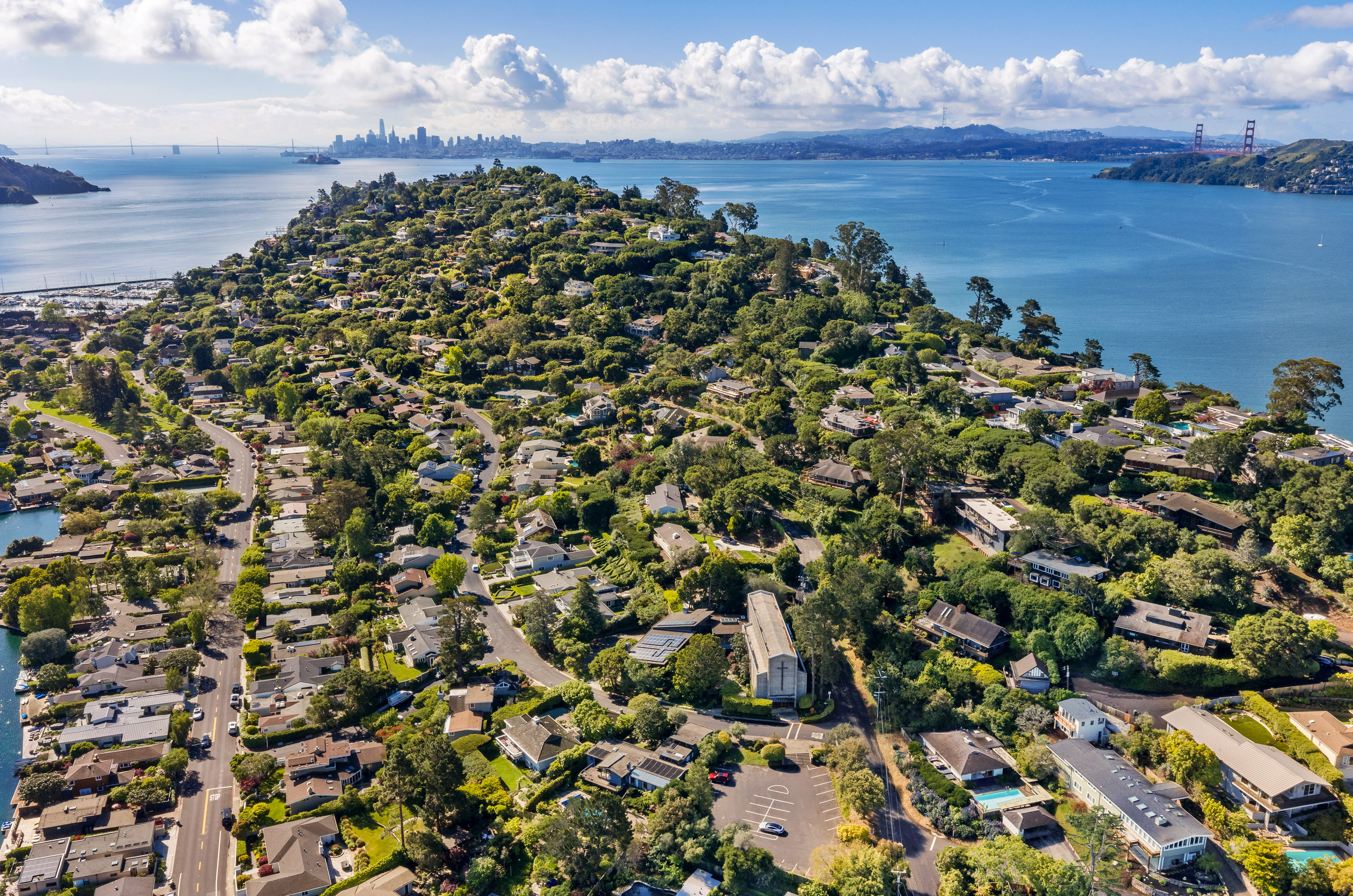  Single-Level Mid-Century Modern Home in the Coveted Flats of Belvedere - 物件實景