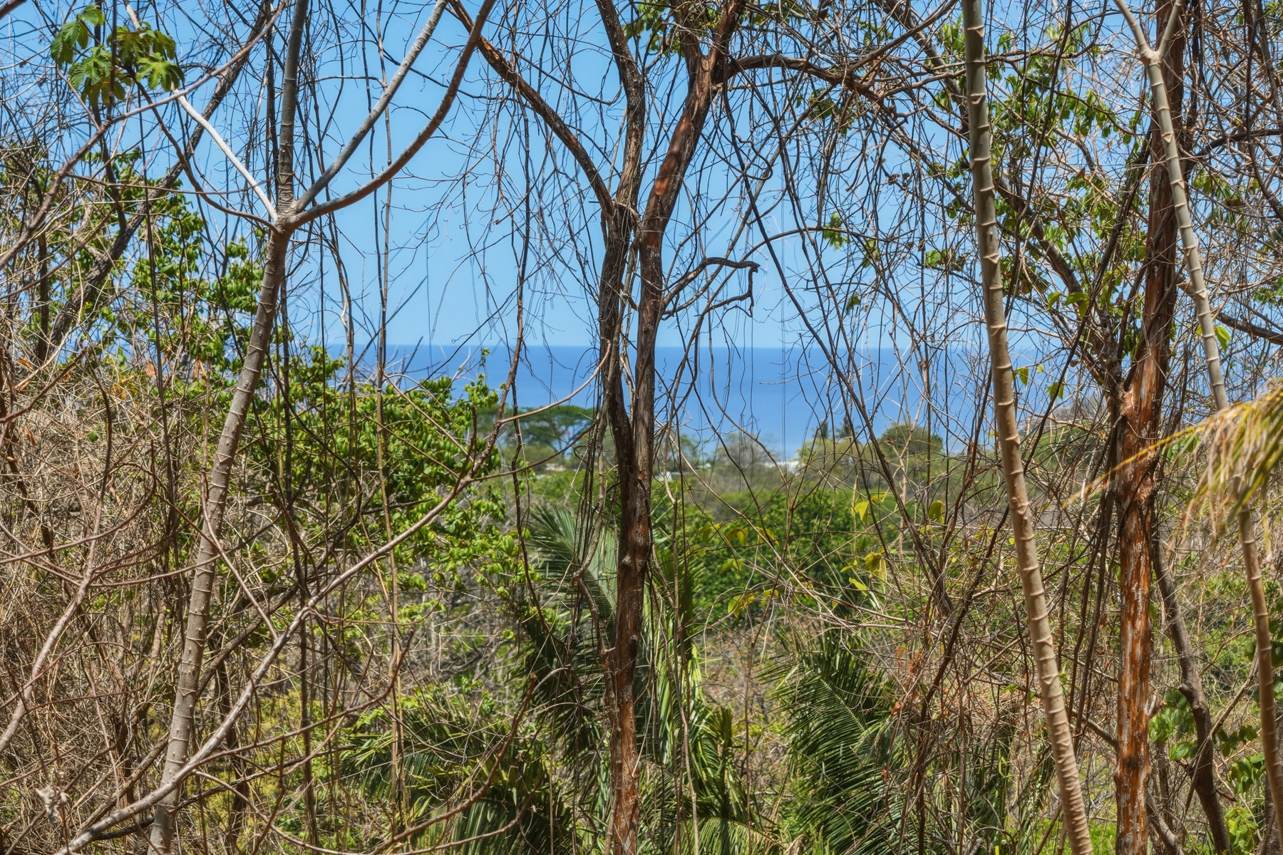  E-9, 1,14 acres with Ocean Views,  &  walkability in one of the best lo - 物件實景