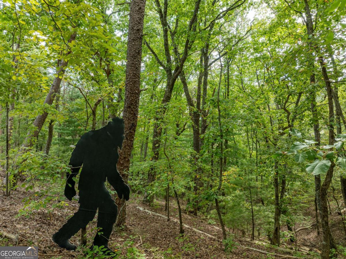 Talking Rock, Georgia, 30175, United States, 3 Bedrooms Bedrooms, ,2 BathroomsBathrooms,Residential,For Sale,1972070