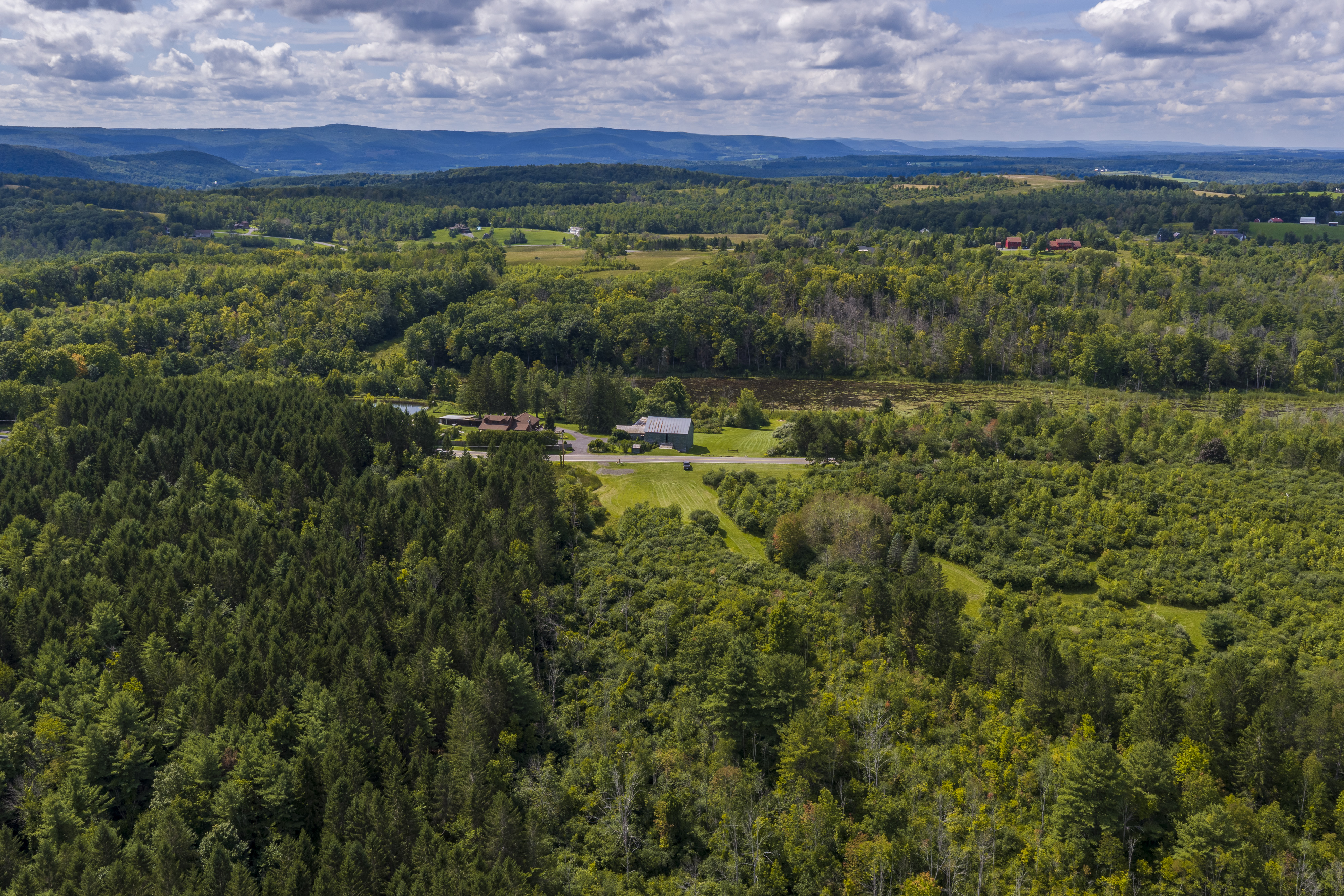  351 Warners Lake Road, East Berne, NY 12059 - 物件實景