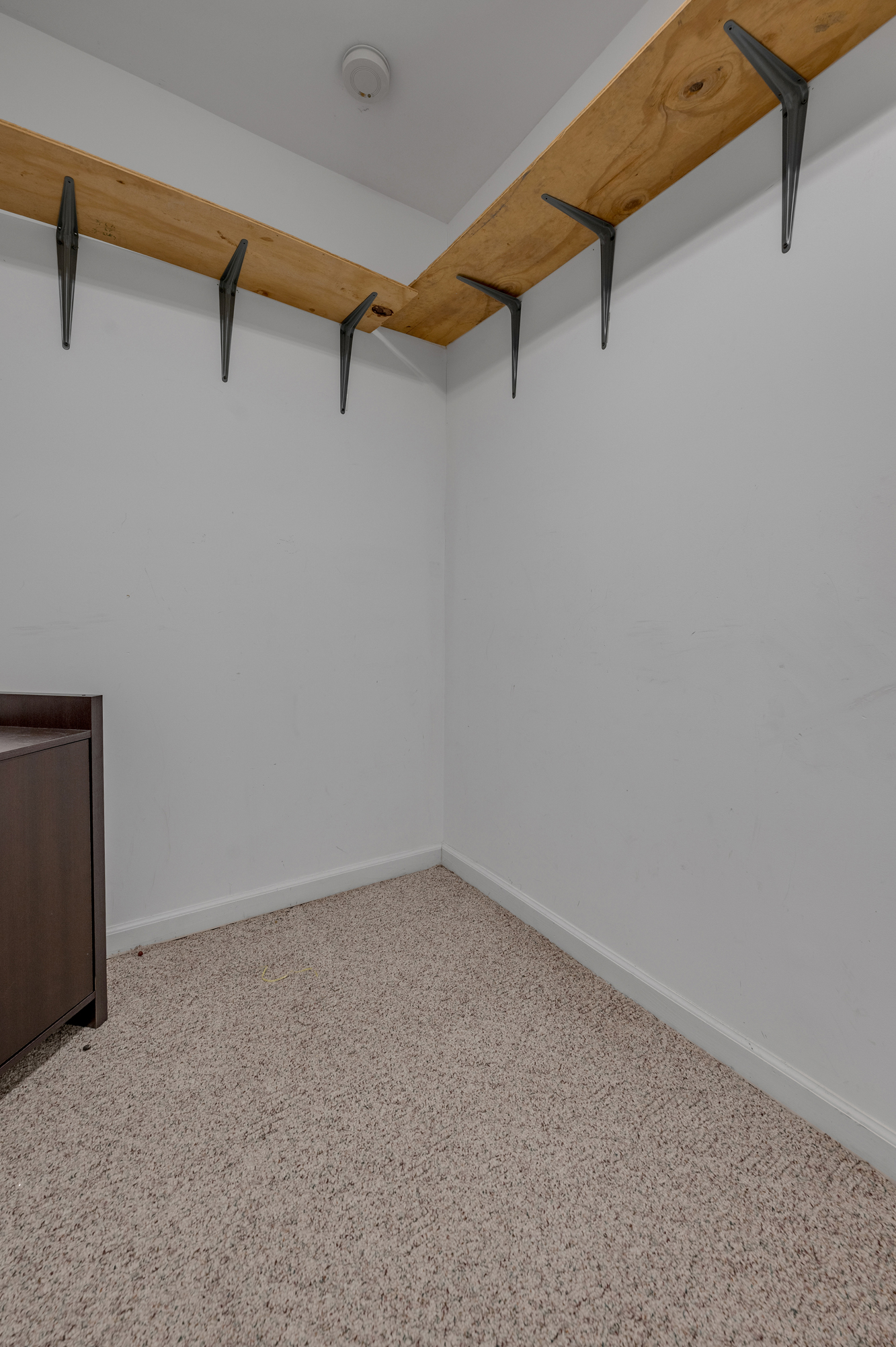  3809 Gillespies Glen - 物件實景