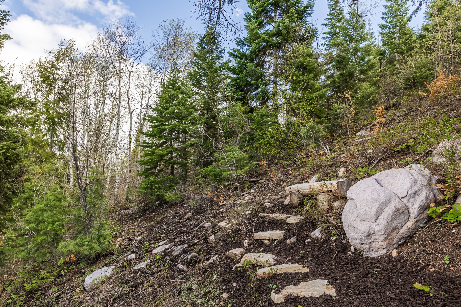  Nature-Inspired Living in the Heart of Park City