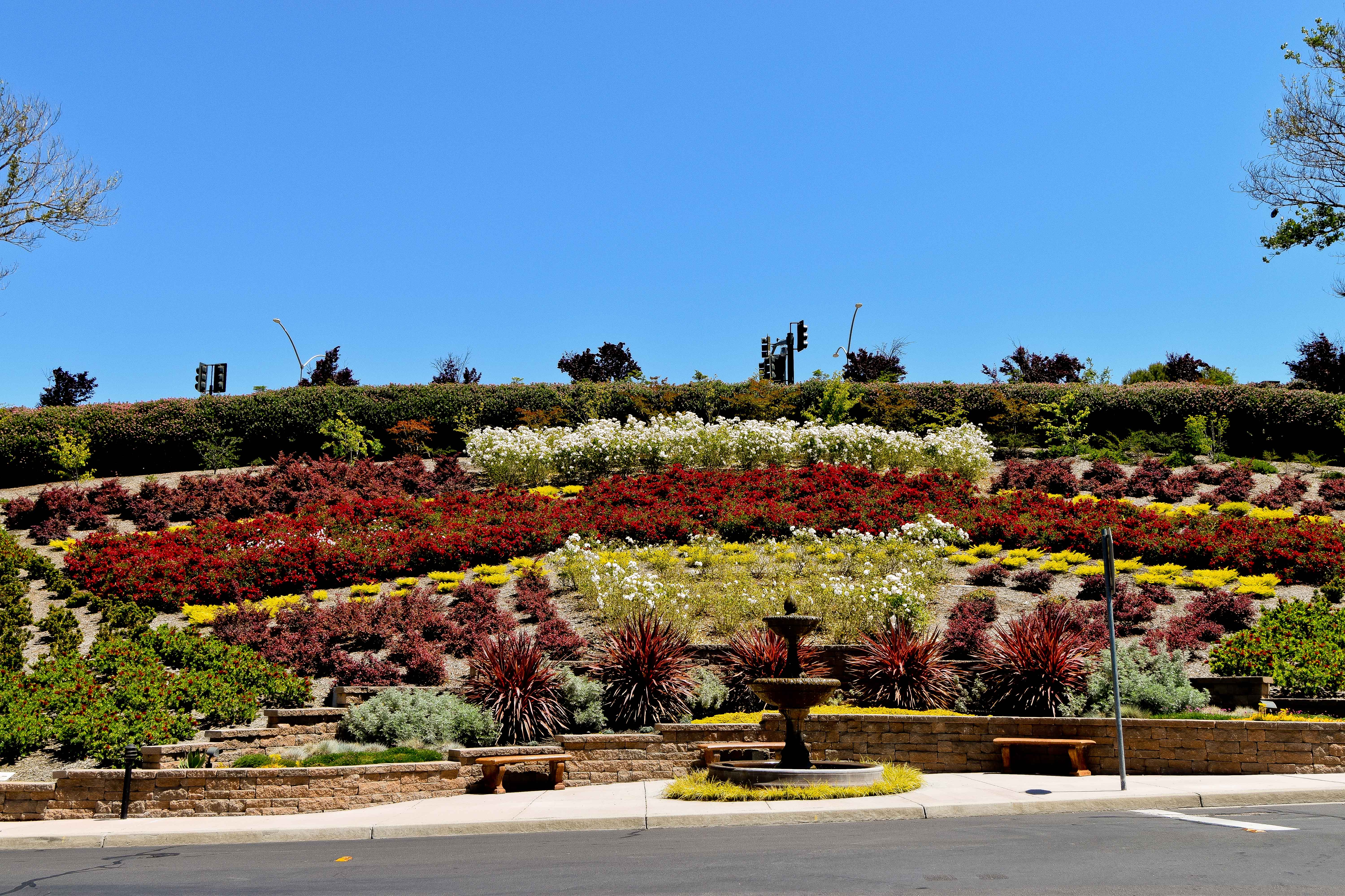  Ground-Level Luxury with Mount Diablo Views in Gated Canyon Lakes - 物件實景
