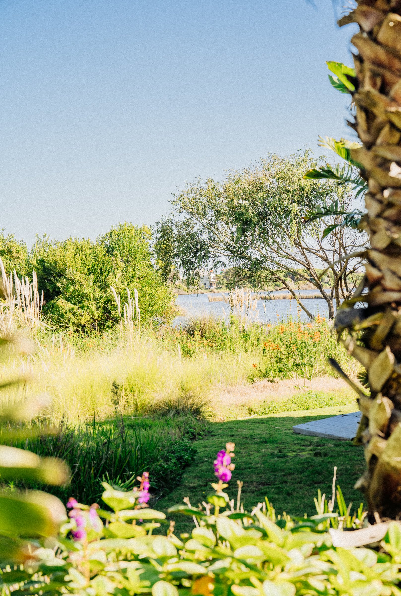  Dream house in Laguna José Ignacio - 物件實景