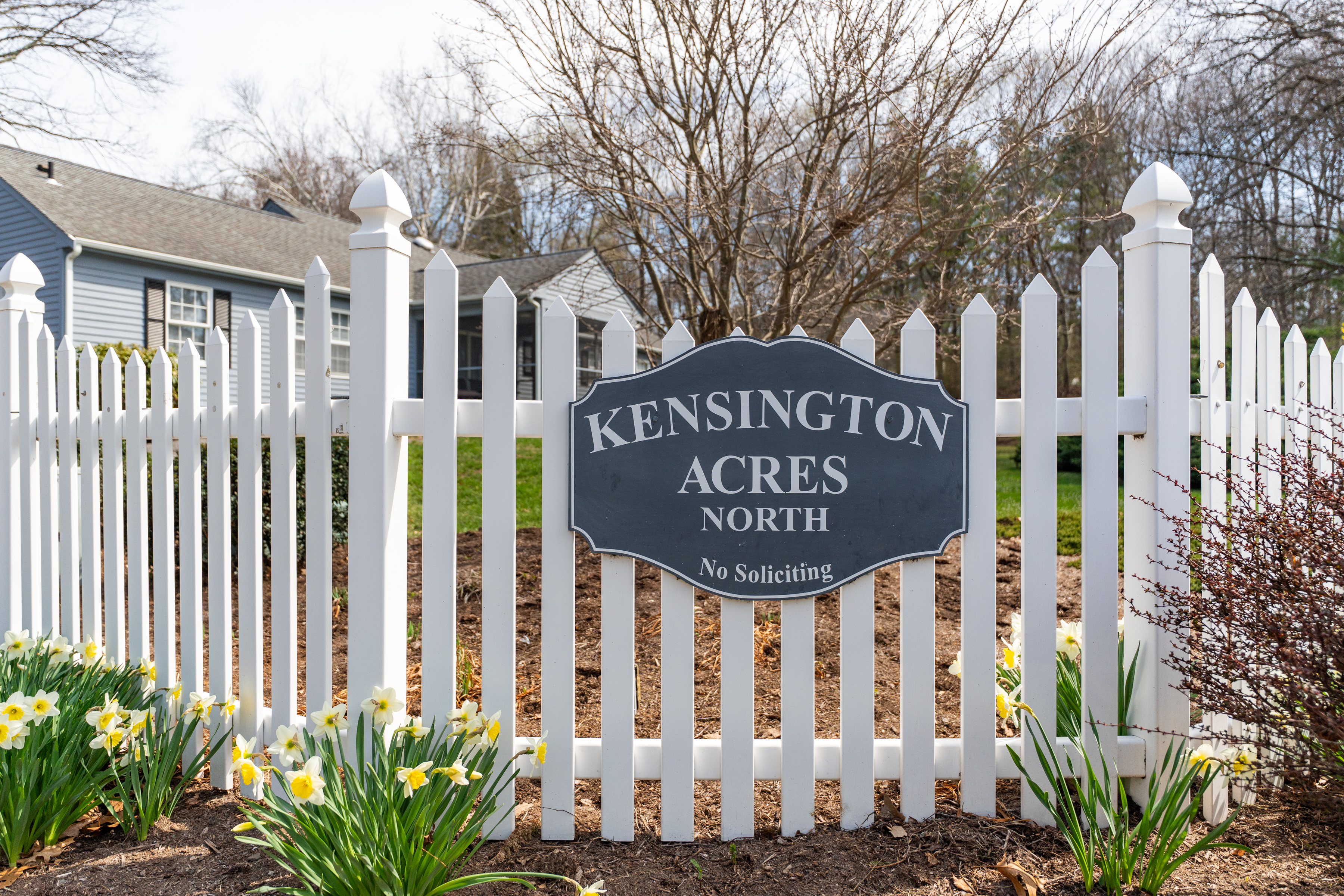  23 Hampshire Road - 物件實景