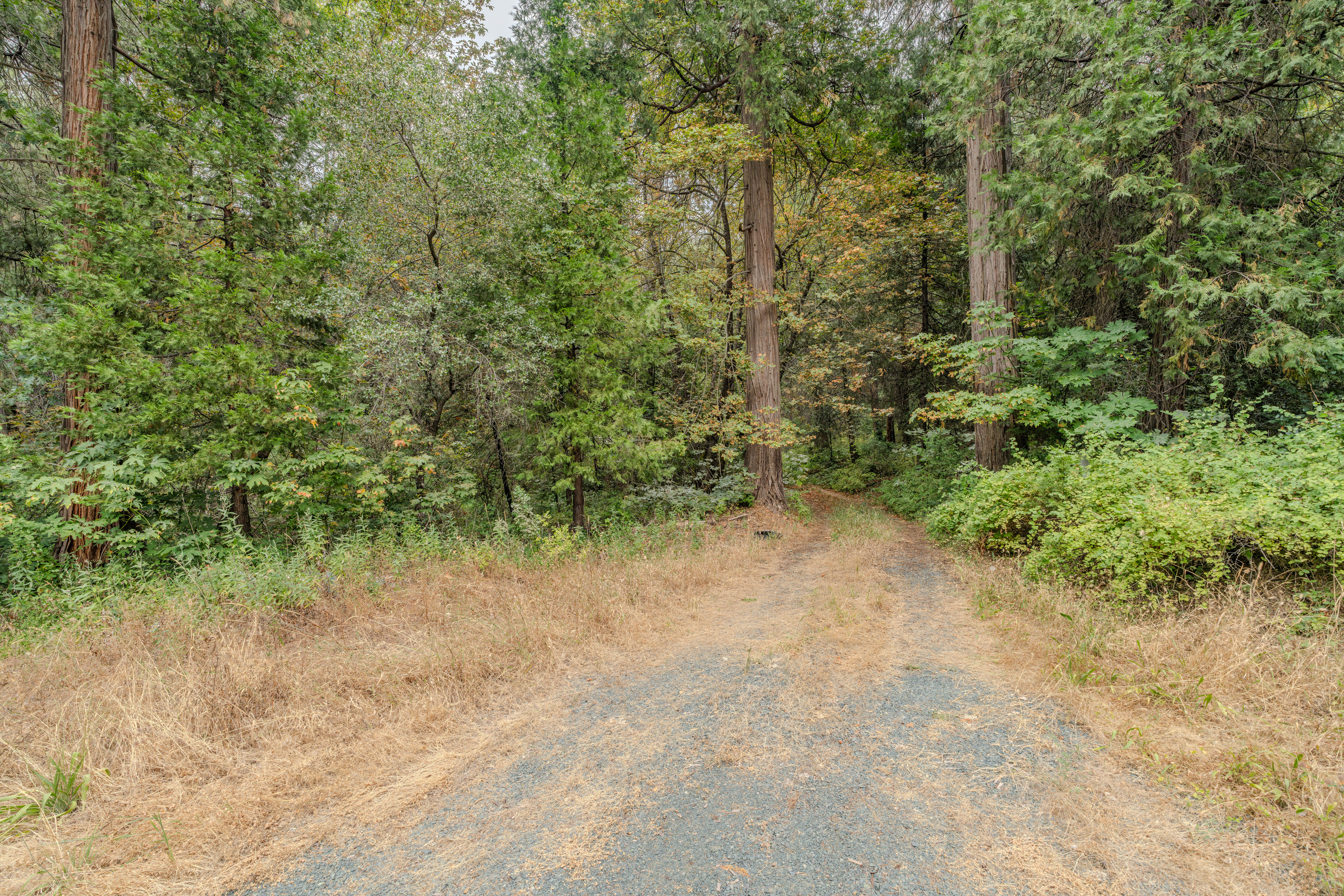  18101 Old River Road, Fiddletown, CA 95629 - 物件實景