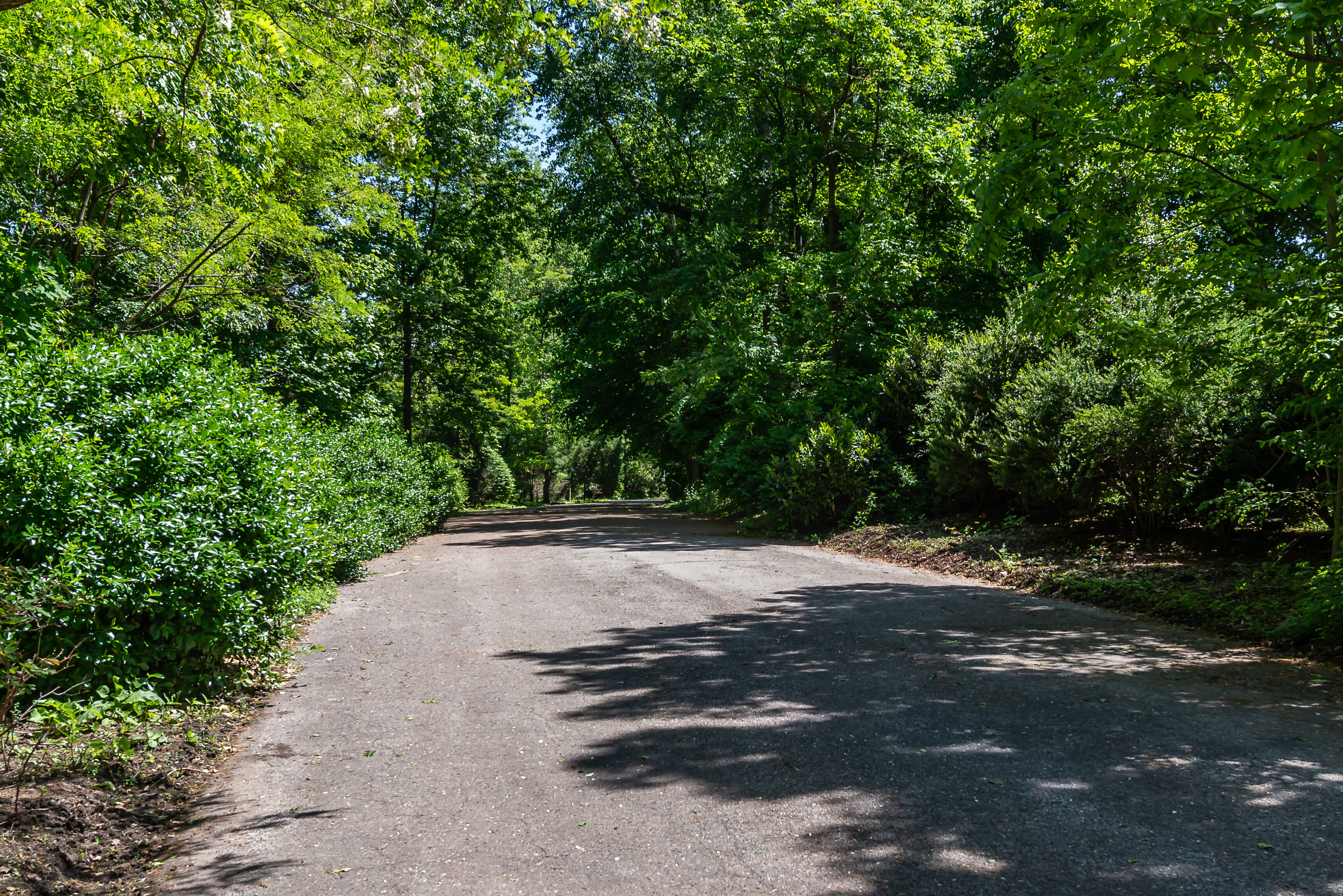  66 Chestnut Hill, Roslyn, NY 11576 - 物件實景