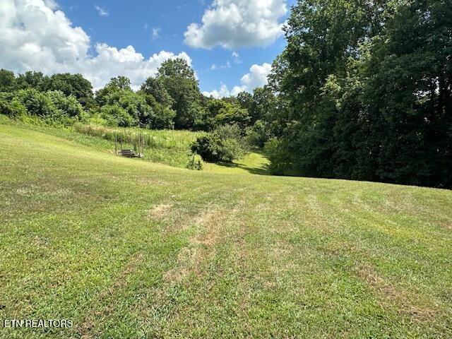 Jonesville, Virginia, 24263, United States, 6 Bedrooms Bedrooms, ,2 BathroomsBathrooms,Residential,For Sale,1979126