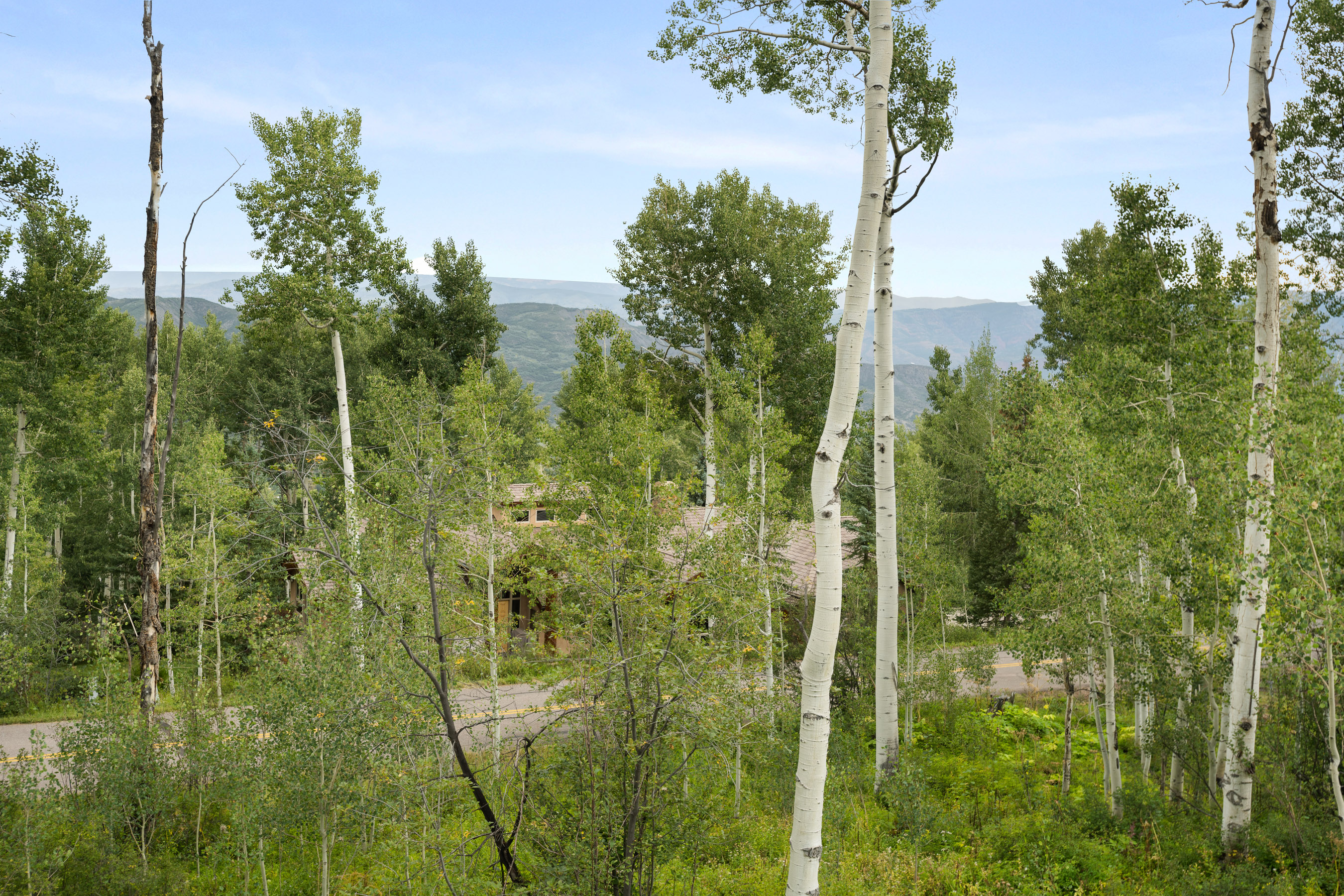  2055 Faraway Road, Snowmass Village, CO 81615 - 物件實景