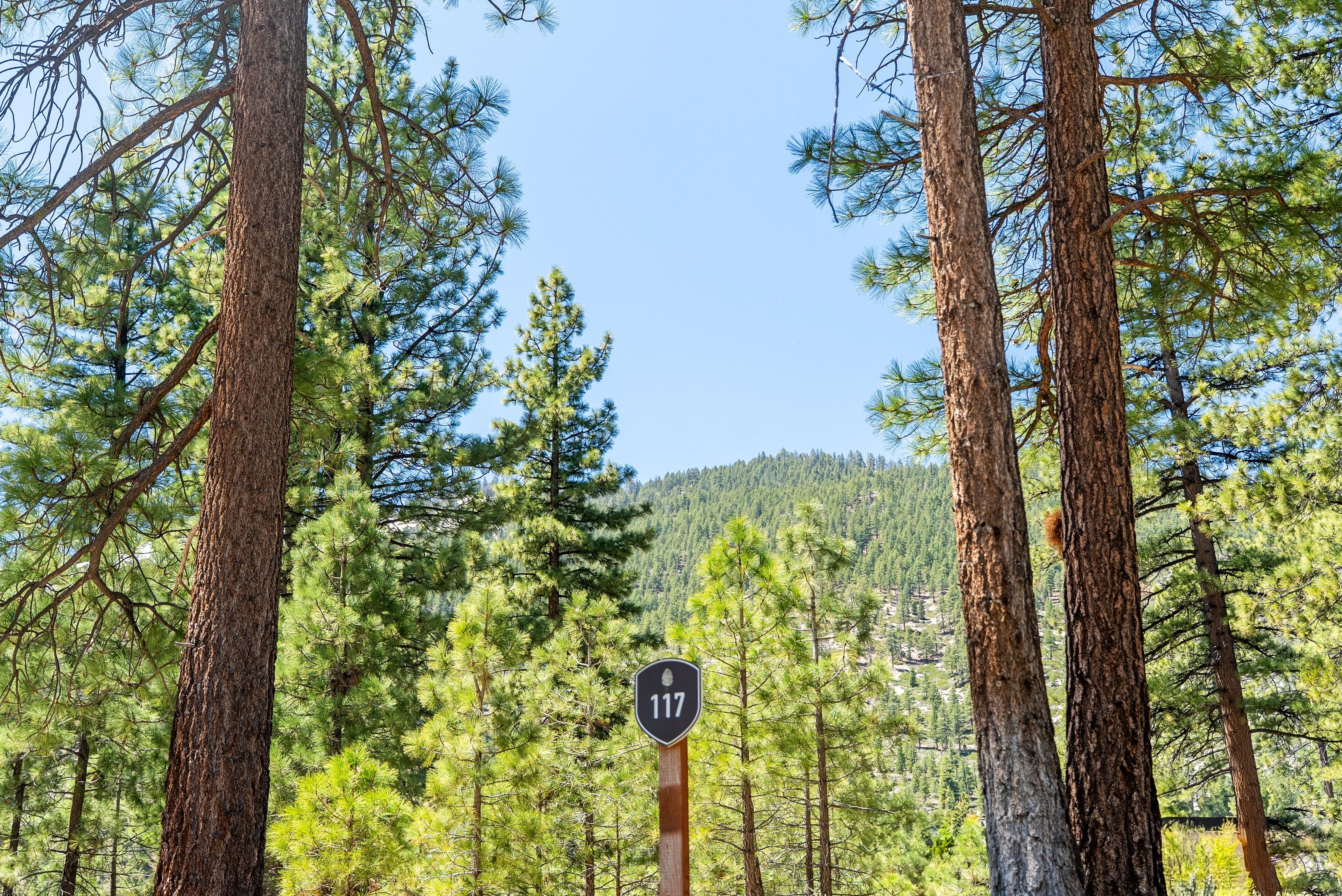  Two Extraordinary Pieces of Land in Clear Creek Tahoe - 物件實景