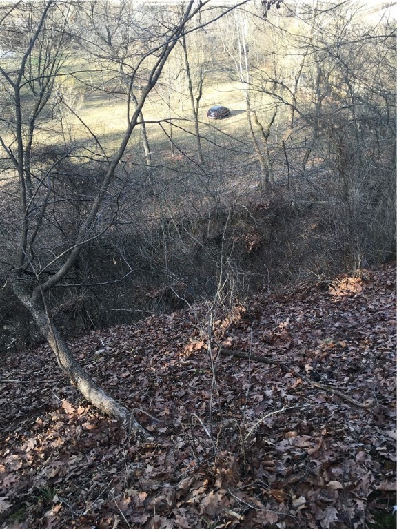 821 Puppy Creek Road, Lowell, Arkansas, 72745, United States, ,Land,For Sale,821 Puppy Creek Road,1673230