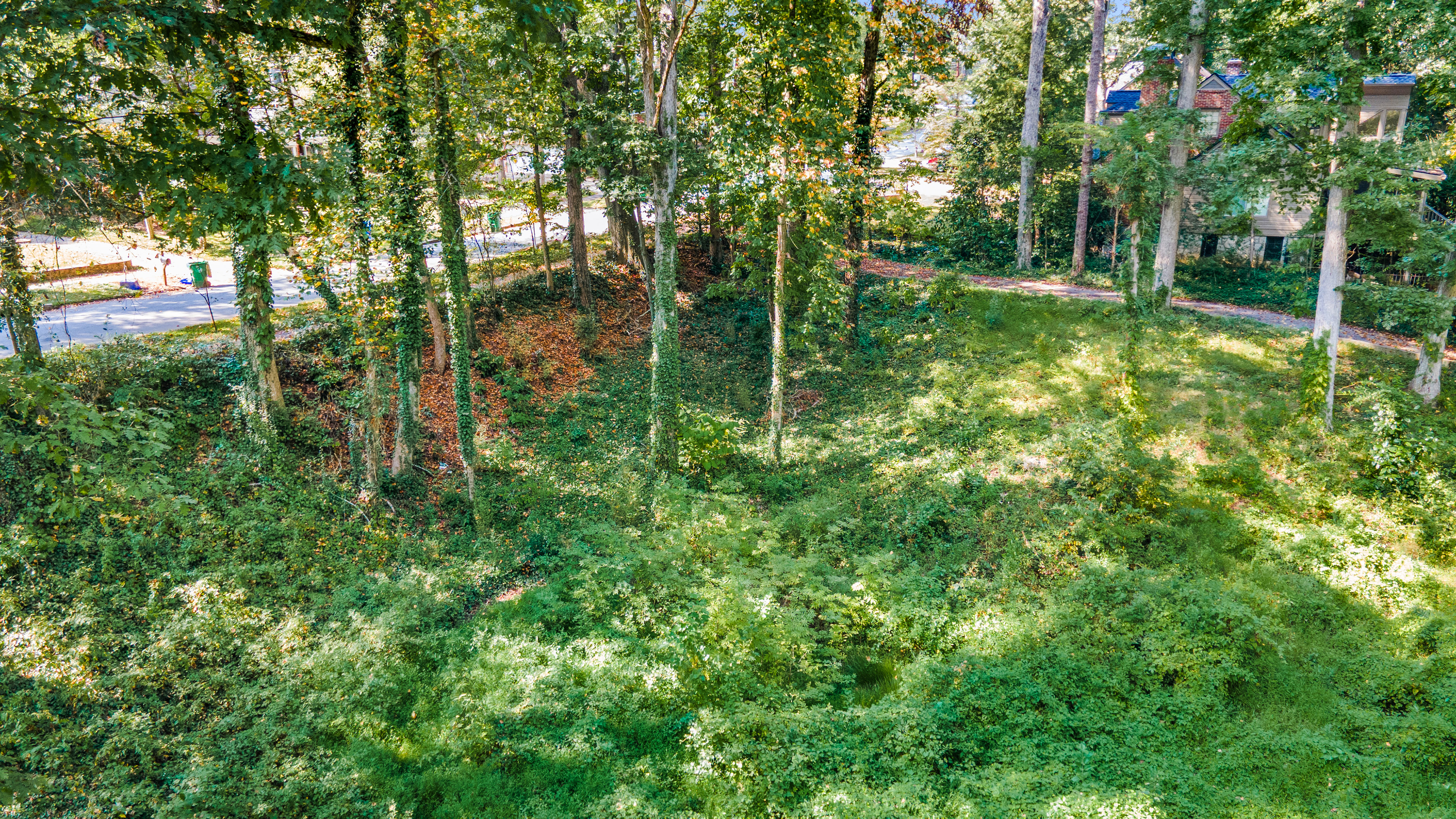  Three Contiguous Lots for New Construction in Historic Druid Hills - 物件實景