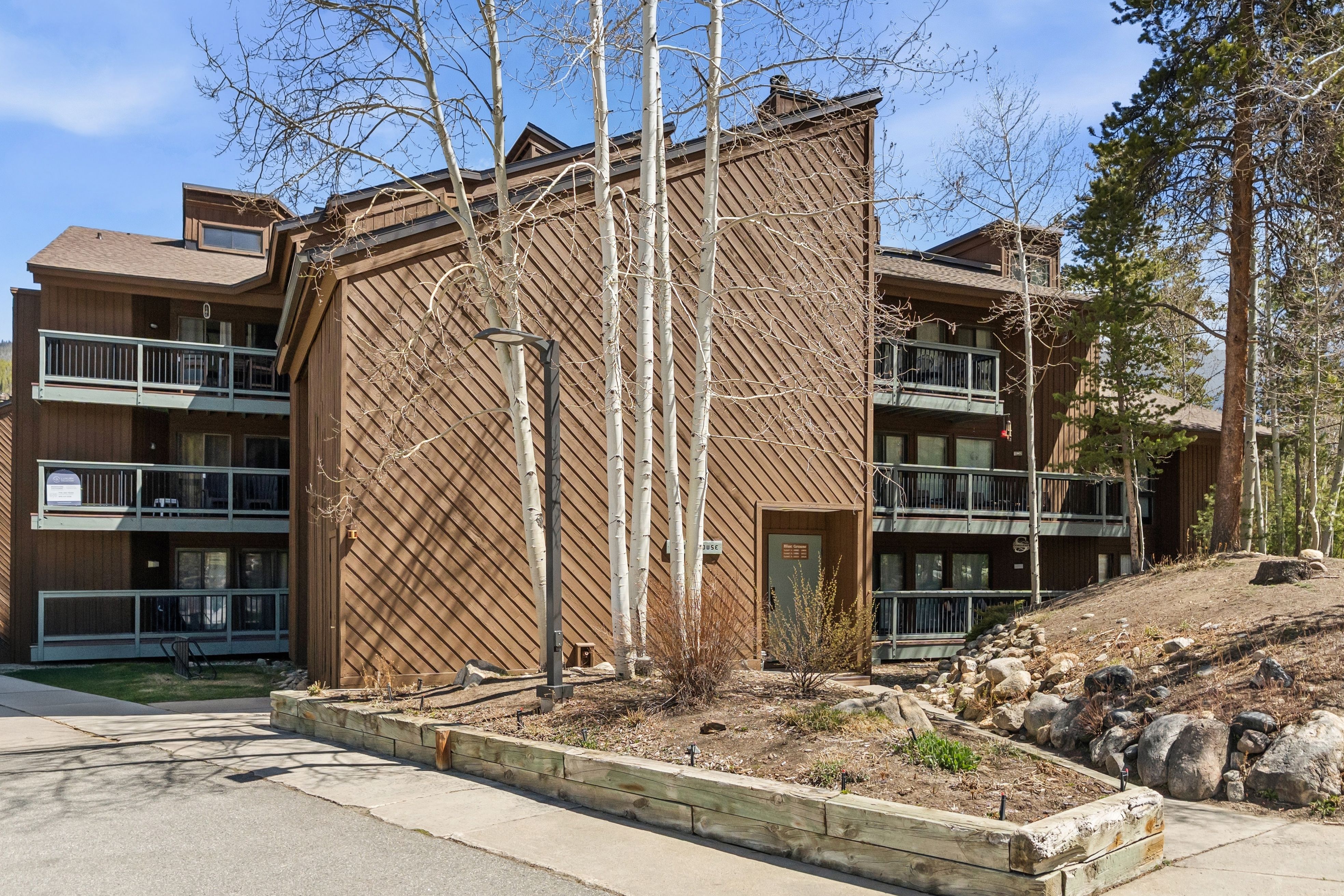  423 Wild Irishman Road, Dillon, CO, 80435 - 物件實景