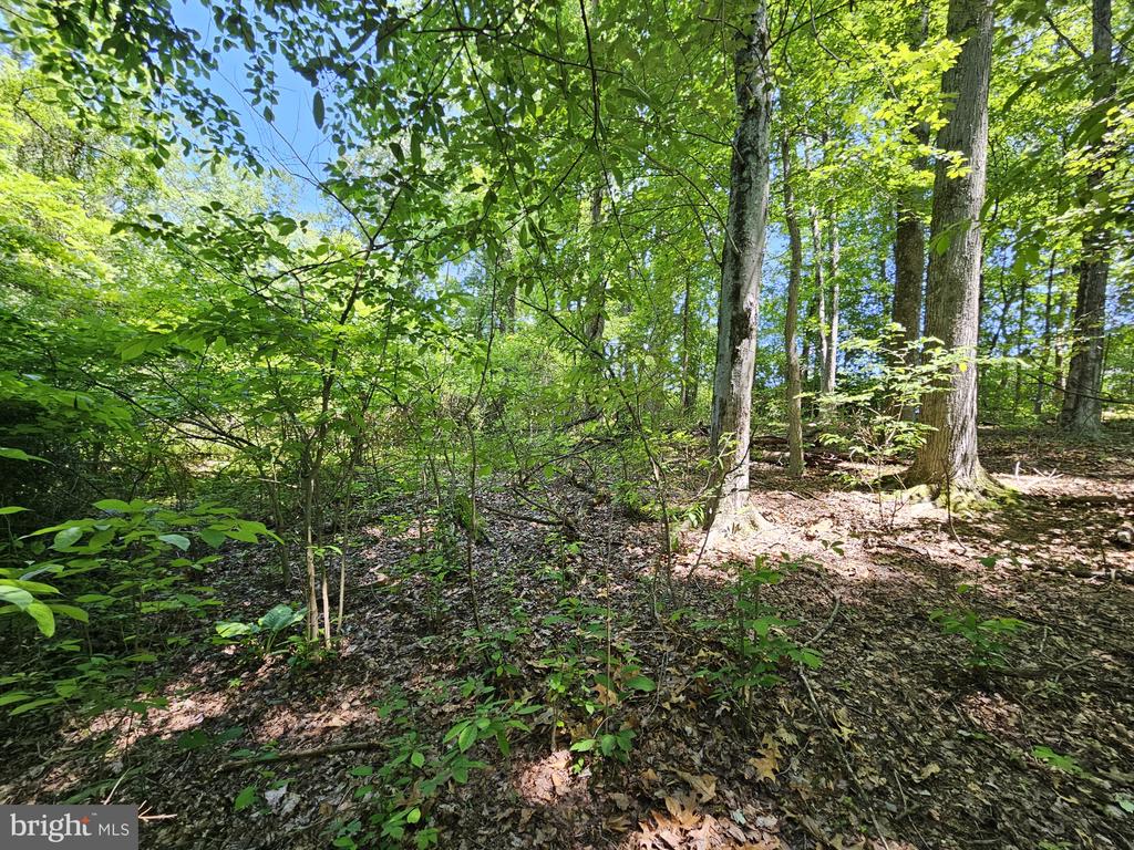 Yardley, Pennsylvania, 19067, United States, ,Land,For Sale,1858190