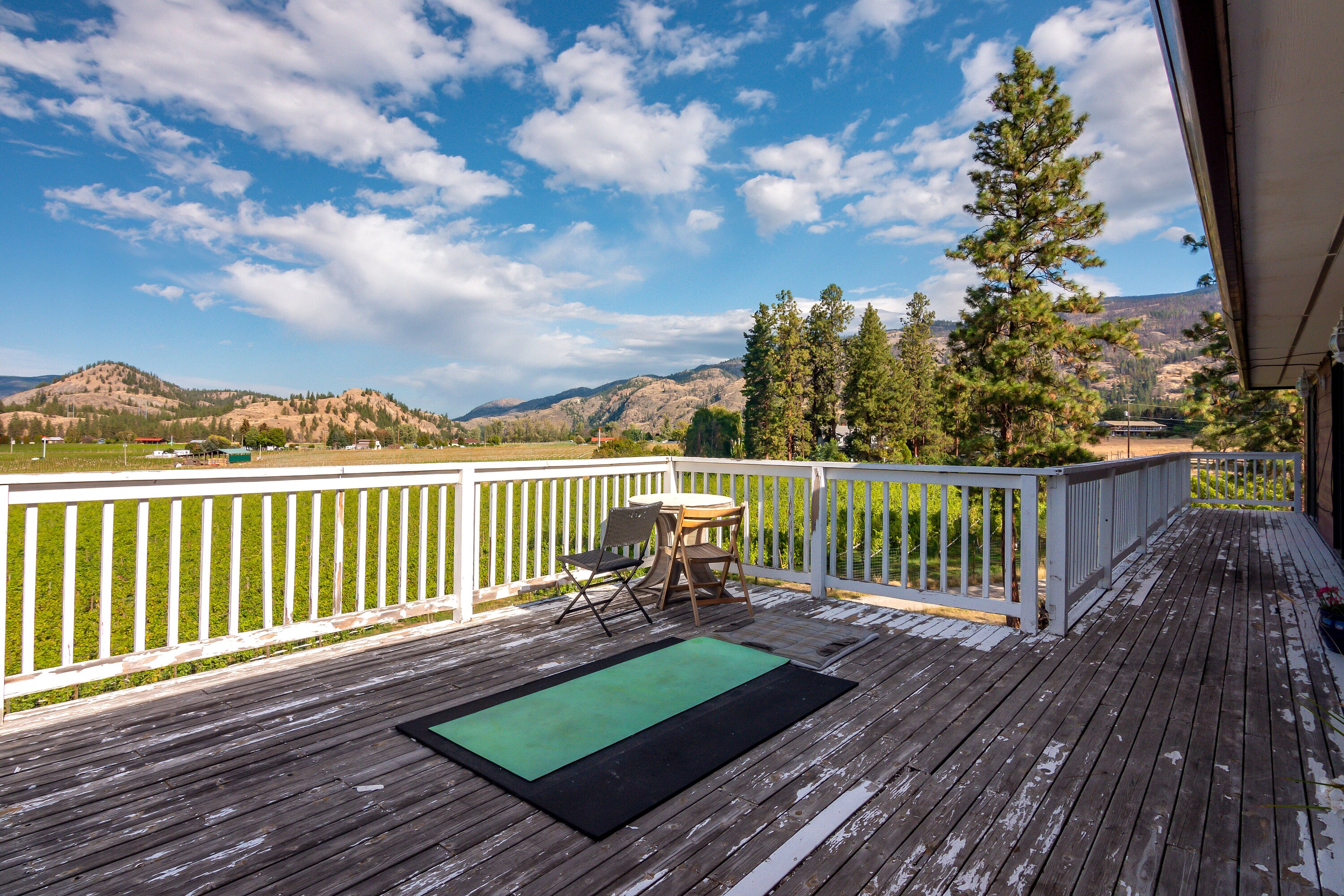  Vineyard in Okanagan Falls - 物件實景