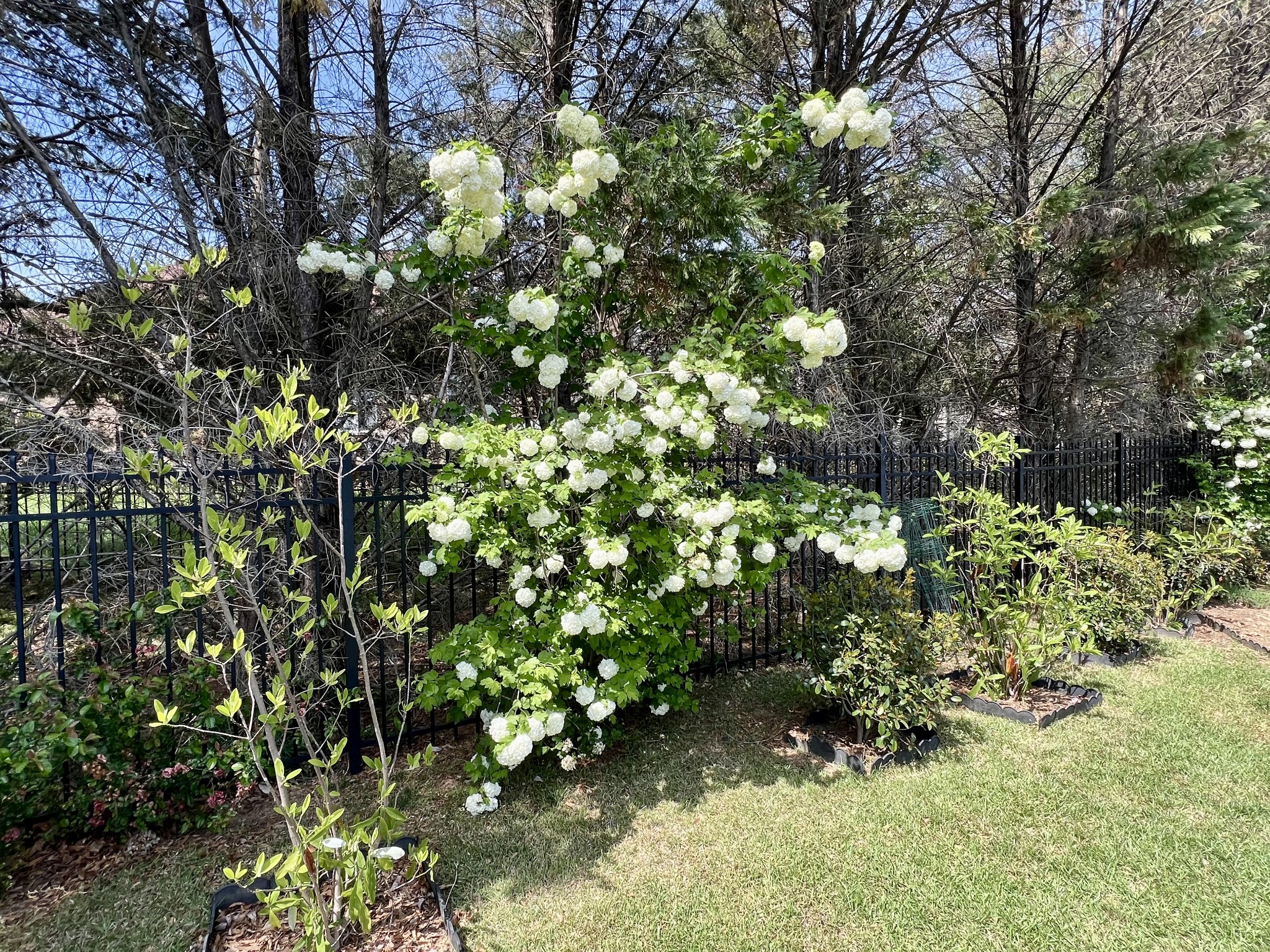  650 Bonita Pkwy S, Hendersonville, TN, 37075 - 物件實景