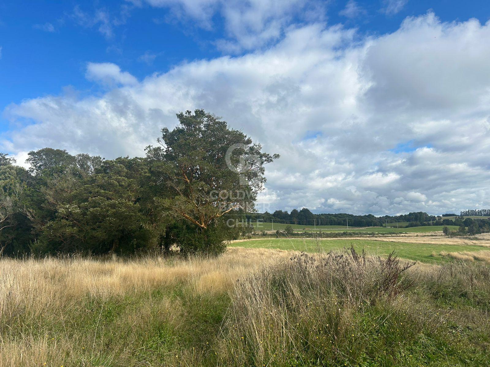 Puerto Varas, Chile, ,Residential,For Sale,2003315