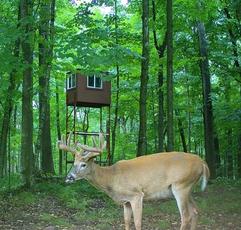 Chetek, Wisconsin, 54728, United States, 2 Bedrooms Bedrooms, ,2 BathroomsBathrooms,Residential,For Sale,1939272